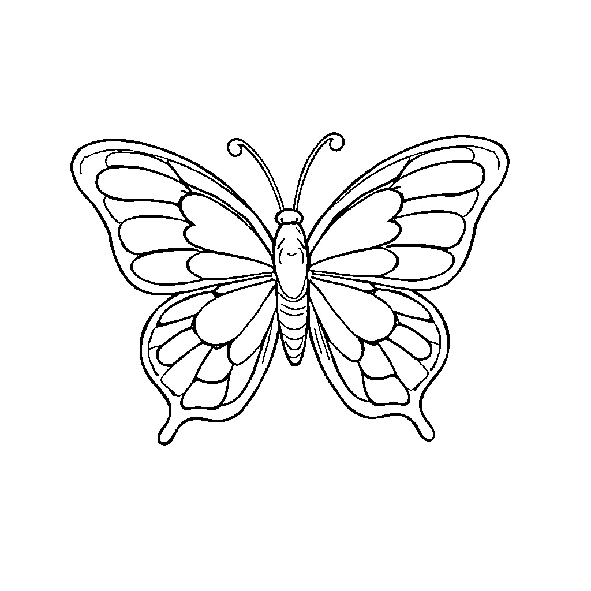 Butter butterfly in simple black and white Coloring Page (free black-and-white line drawing printable PDF for all, from beginners to advanced learners, including children, teens, adults, and seniors)