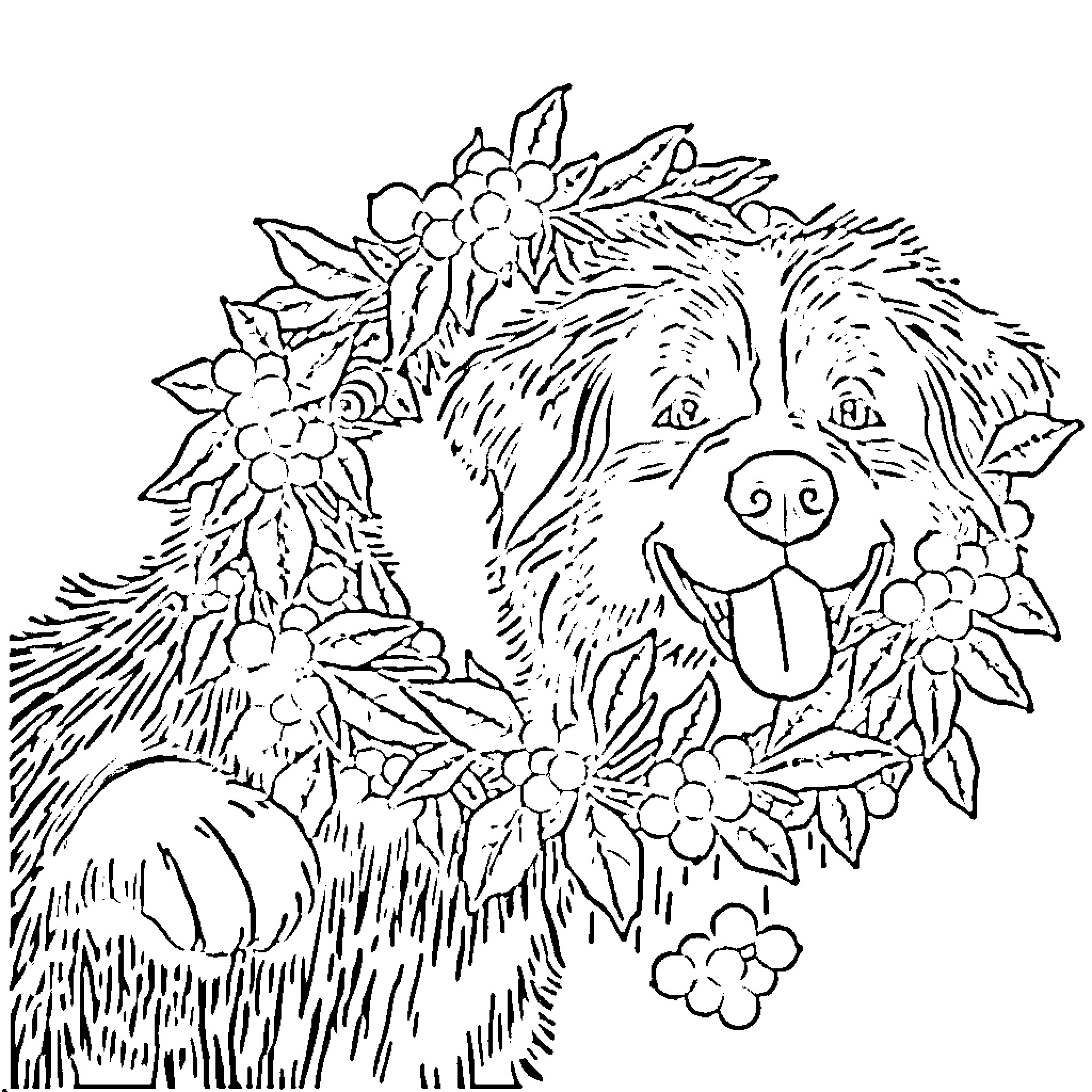Bernese Mountain Dog in a floral wreath Coloring Page (free black-and-white line drawing printable PDF for all, from beginners to advanced learners, including children, teens, adults, and seniors)