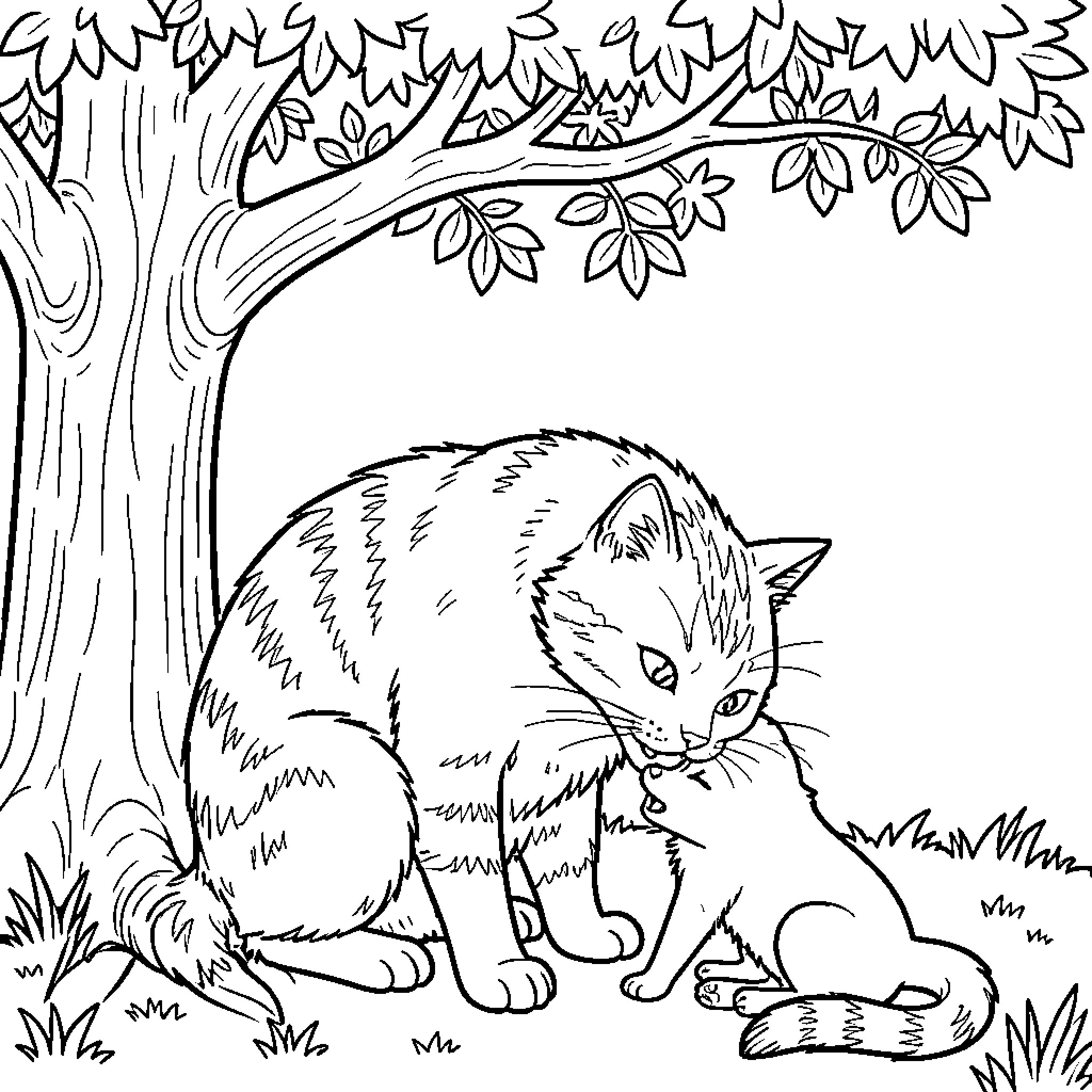Cat exploring the forest Coloring Page (free black-and-white line drawing printable PDF for all, from beginners to advanced learners, including children, teens, adults, and seniors)