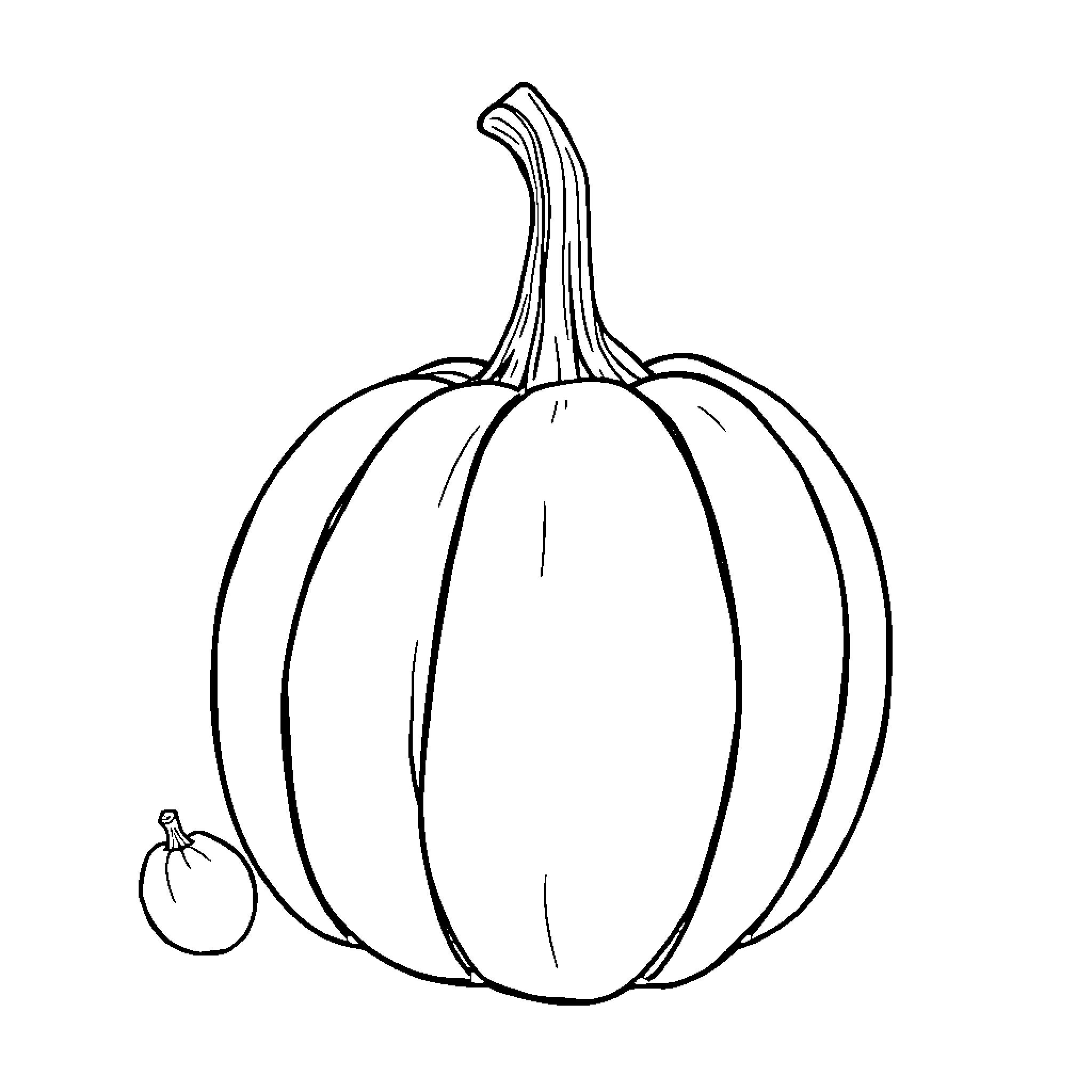 Pumpkin Illustration Coloring Page (free black-and-white line drawing printable PDF for all, from beginners to advanced learners, including children, teens, adults, and seniors)