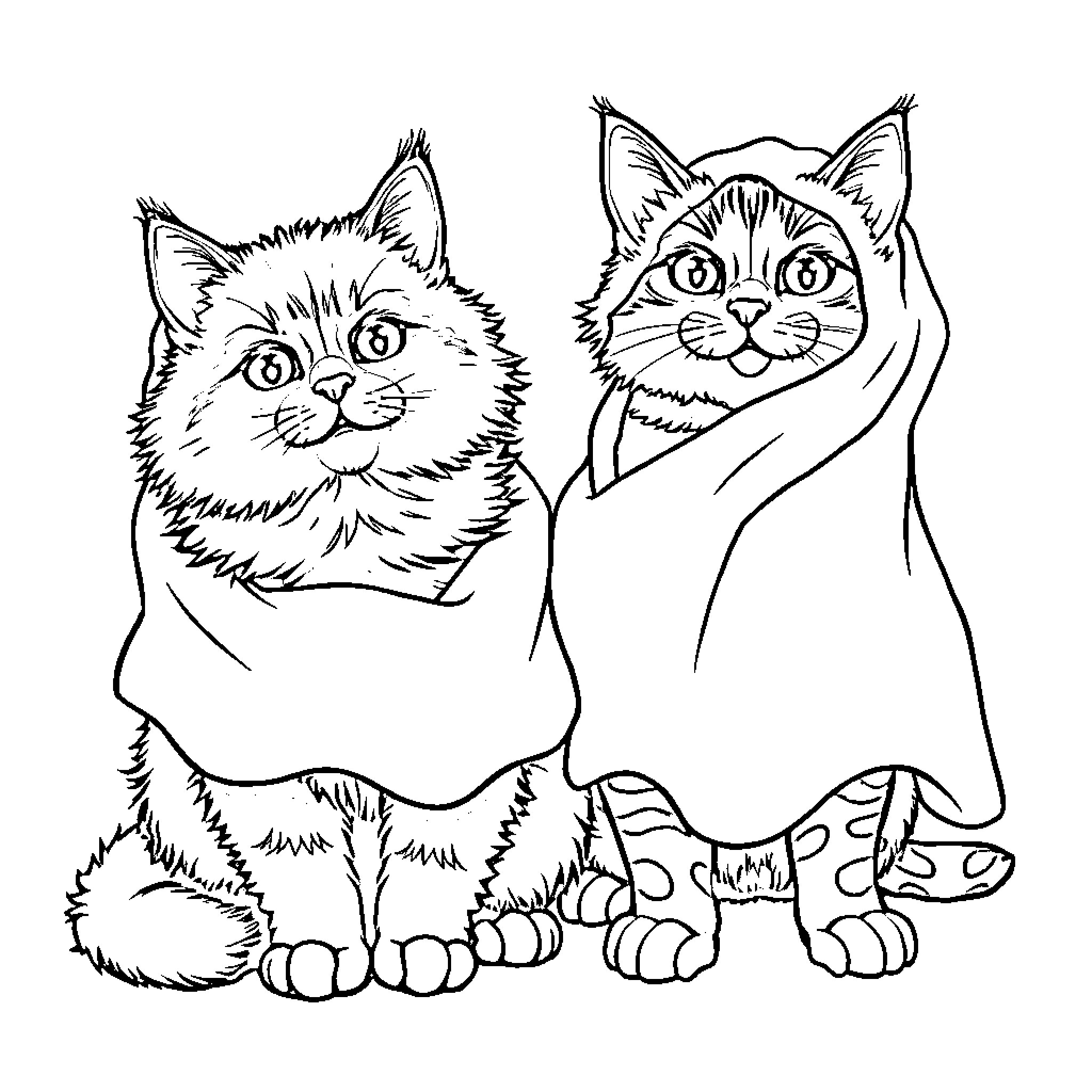 Cats in Cozy Blankets Snuggling Coloring Page (free black-and-white line drawing printable PDF for all, from beginners to advanced learners, including children, teens, adults, and seniors)