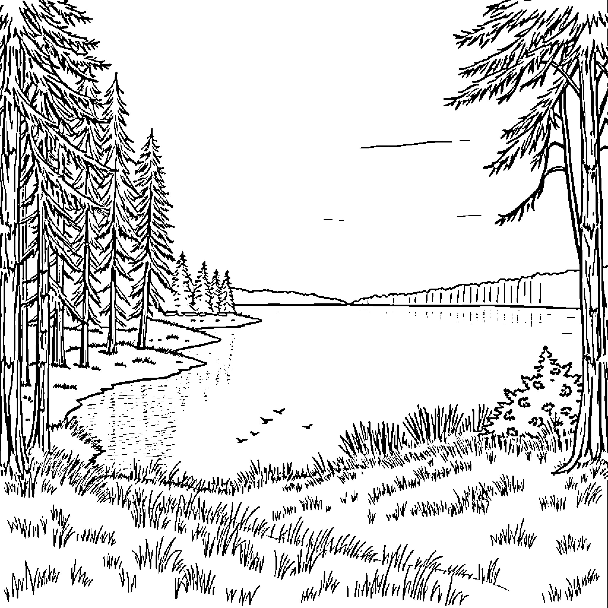 Lake scene with pine trees and wildlife Coloring Page (free black-and-white line drawing printable PDF for all, from beginners to advanced learners, including children, teens, adults, and seniors)