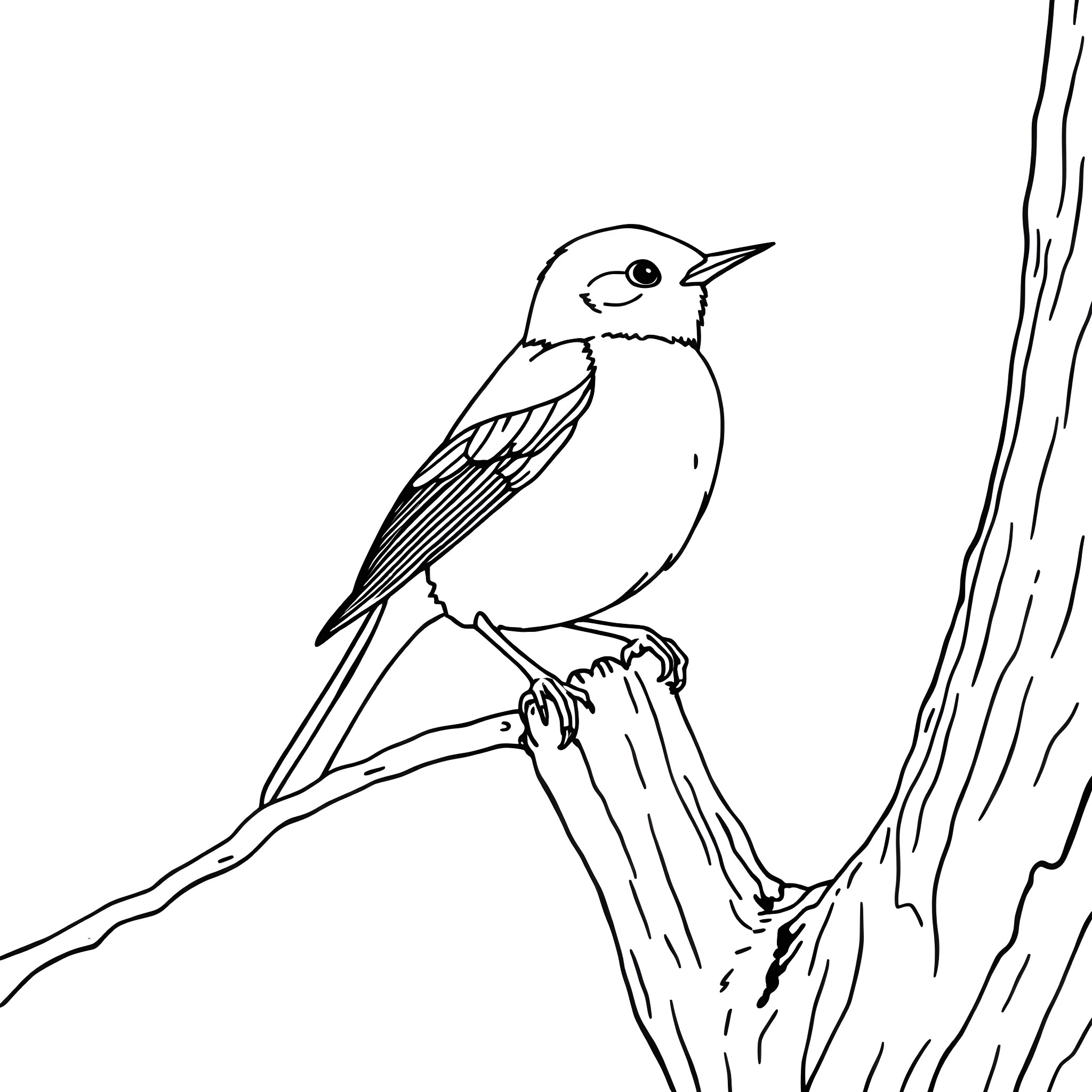Emberiza Citrinella perched on a tree branch Coloring Page (free black-and-white line drawing printable PDF for all, from beginners to advanced learners, including children, teens, adults, and seniors)