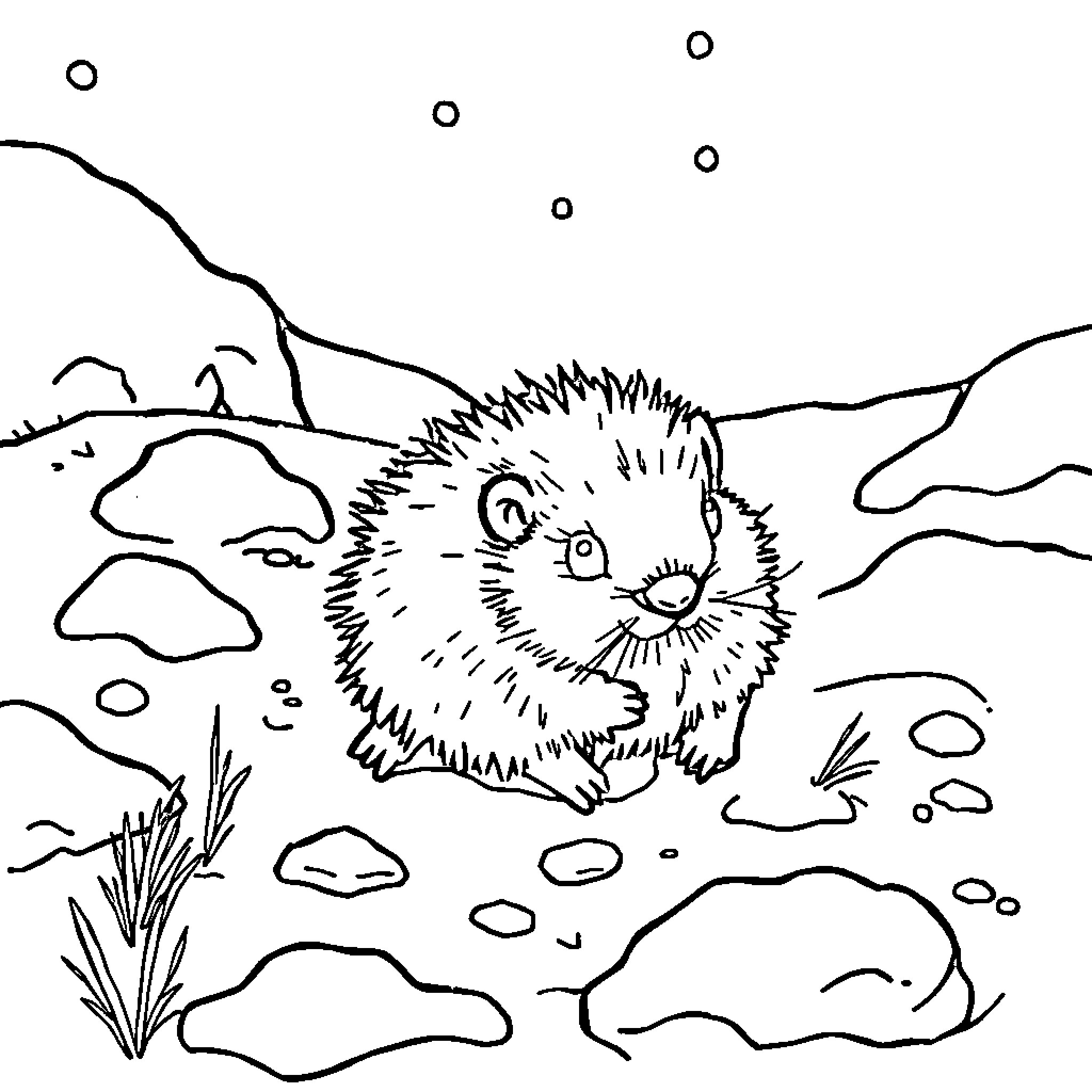 Lemming exploring the snowy landscape Coloring Page (free black-and-white line drawing printable PDF for all, from beginners to advanced learners, including children, teens, adults, and seniors)