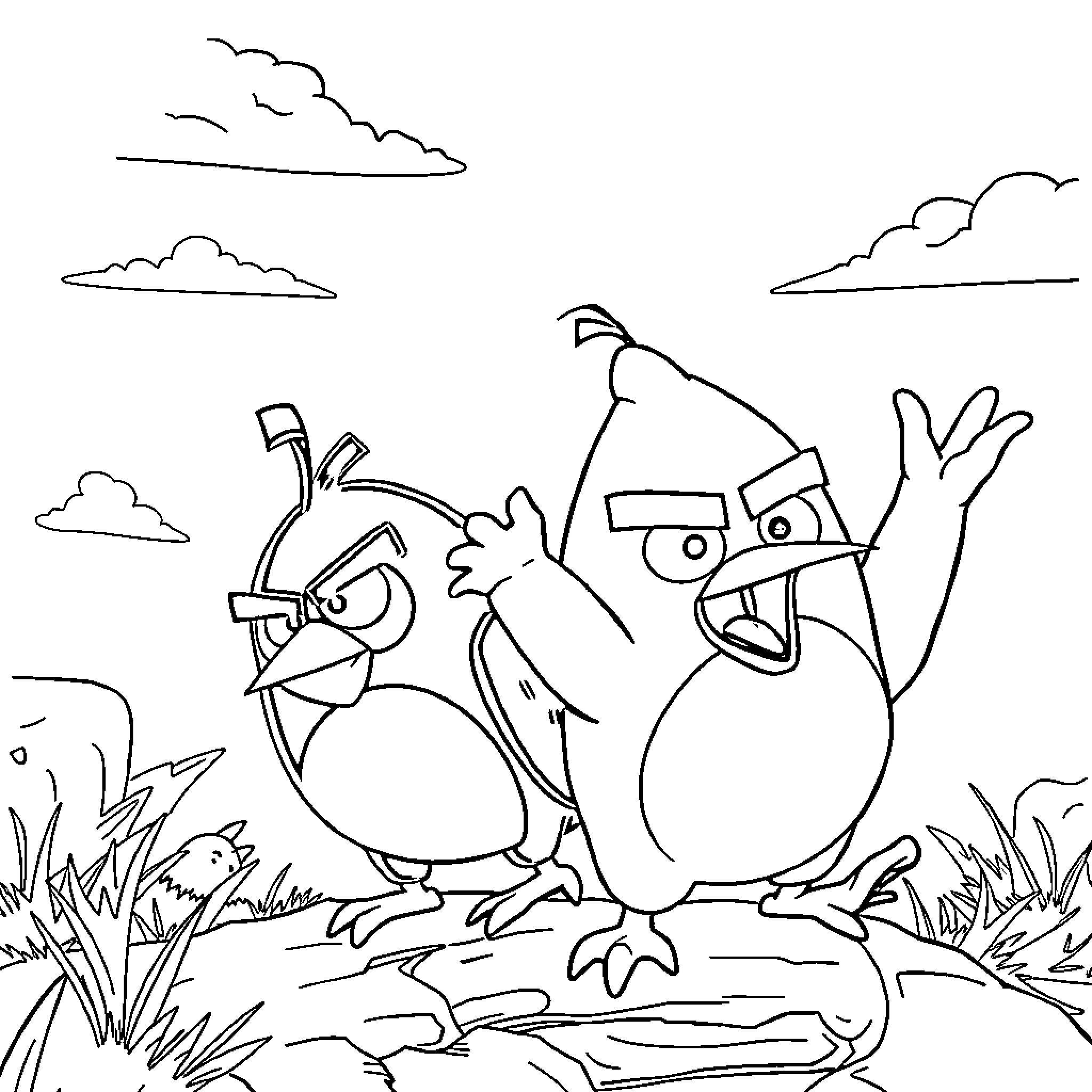 Angry Birds in an outdoor scene Coloring Page (free black-and-white line drawing printable PDF for all, from beginners to advanced learners, including children, teens, adults, and seniors)