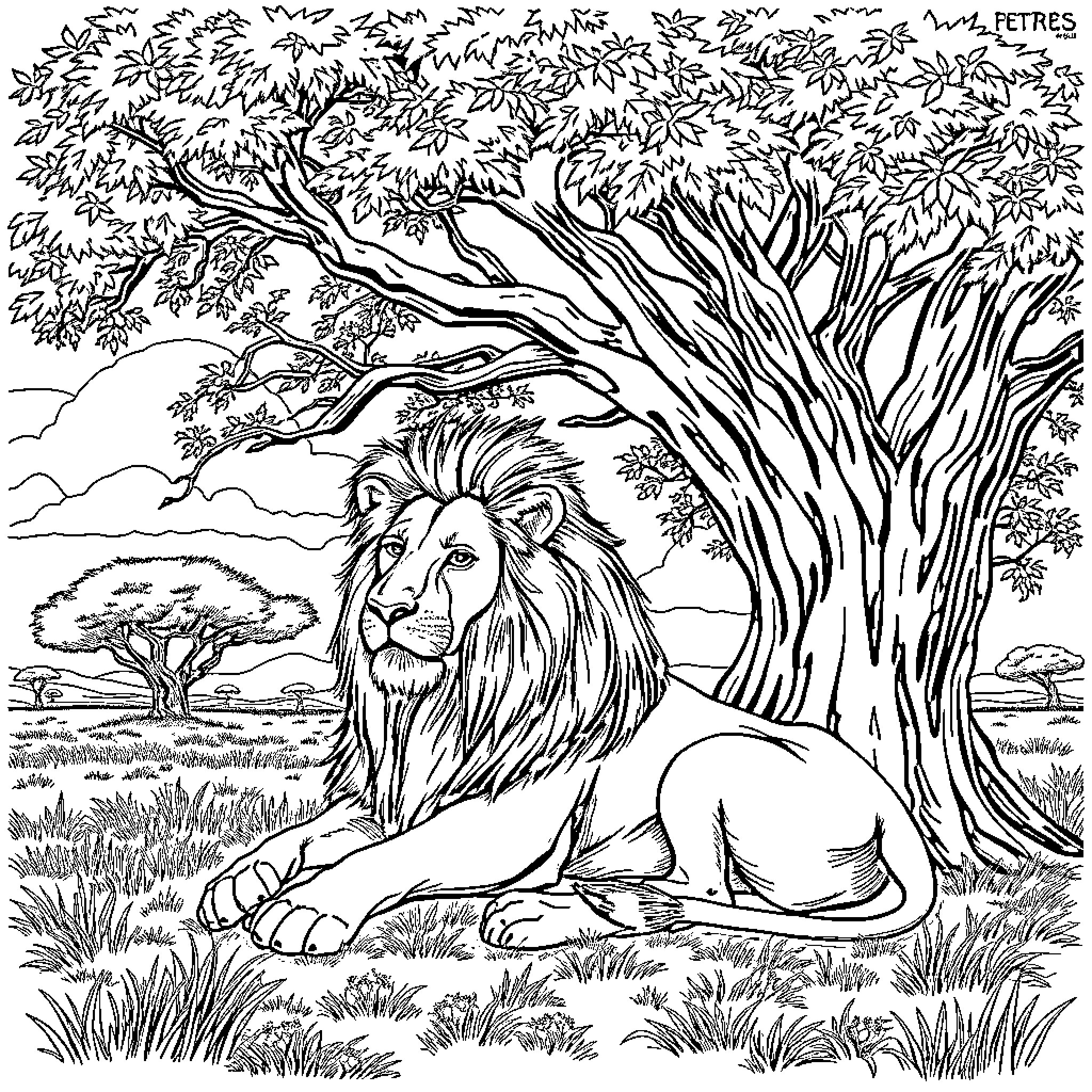 Lion resting peacefully in nature's embrace Coloring Page (free black-and-white line drawing printable PDF for all, from beginners to advanced learners, including children, teens, adults, and seniors)