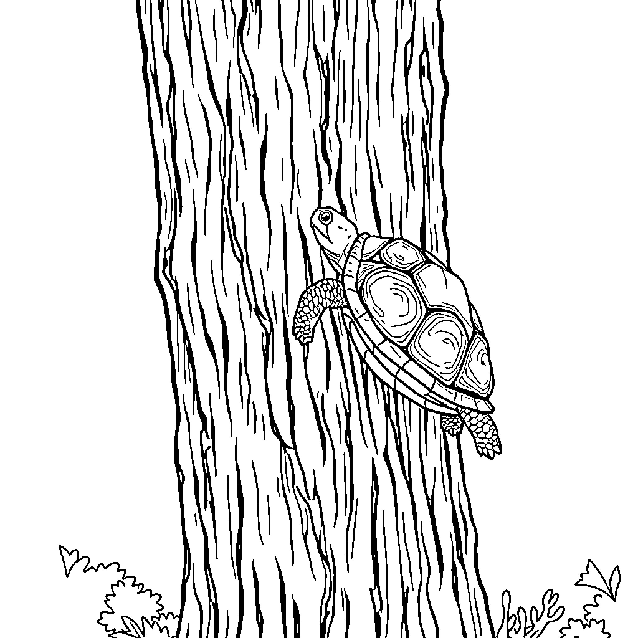 Turtle climbing up a textured tree trunk Coloring Page (free black-and-white line drawing printable PDF for all, from beginners to advanced learners, including children, teens, adults, and seniors)