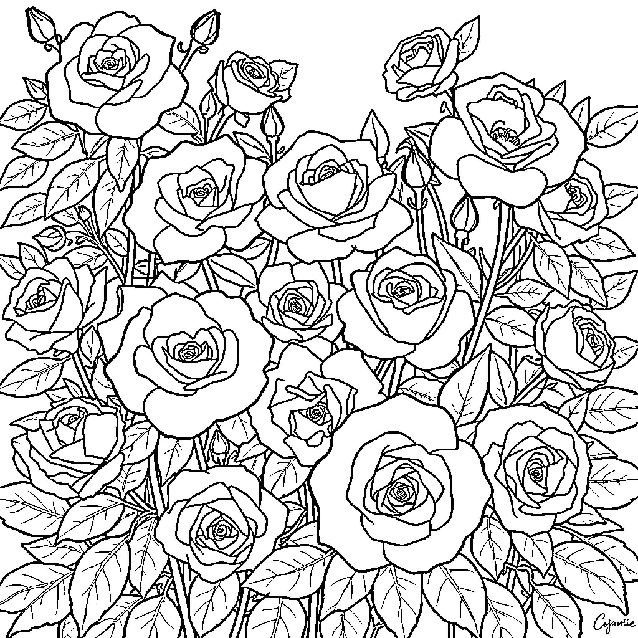 Rose Garden Blooms in Elegant Floral Arrangement Coloring Page (free black-and-white line drawing printable PDF for all, from beginners to advanced learners, including children, teens, adults, and seniors)