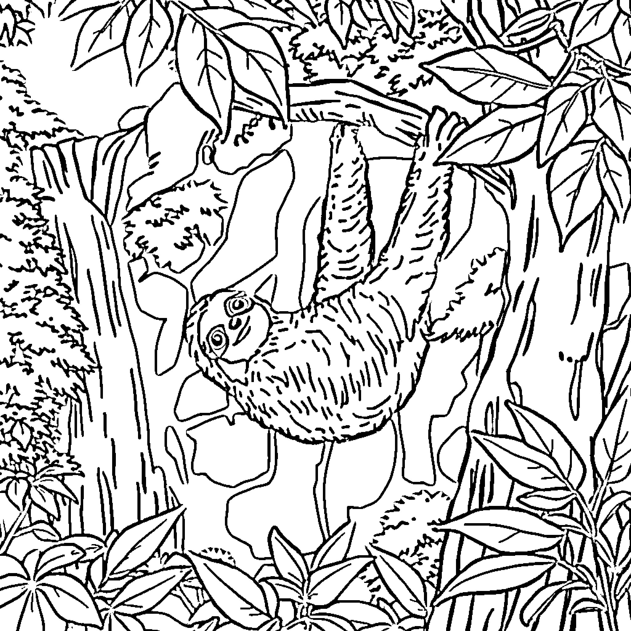 Sloth relaxing in lush jungle foliage Coloring Page (free black-and-white line drawing printable PDF for all, from beginners to advanced learners, including children, teens, adults, and seniors)