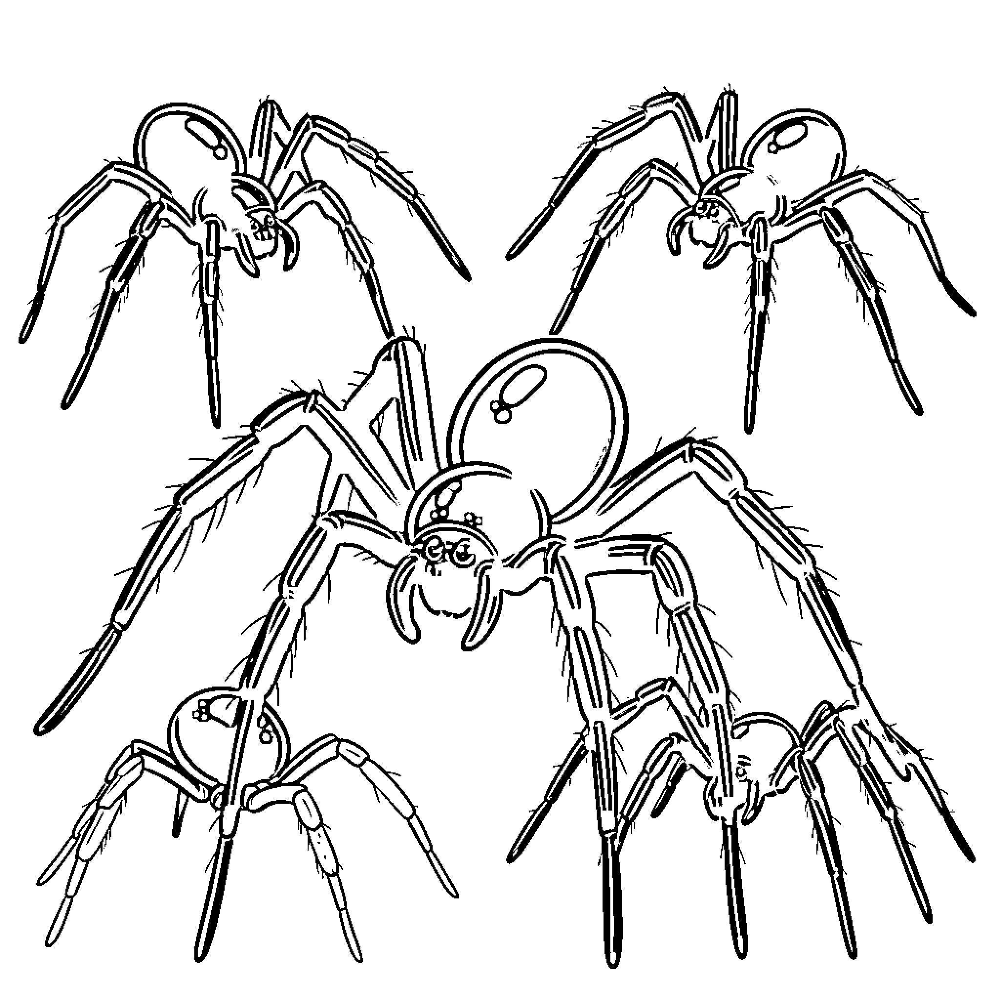 Halloween Spiders in Various Poses Coloring Page (free black-and-white line drawing printable PDF for all, from beginners to advanced learners, including children, teens, adults, and seniors)