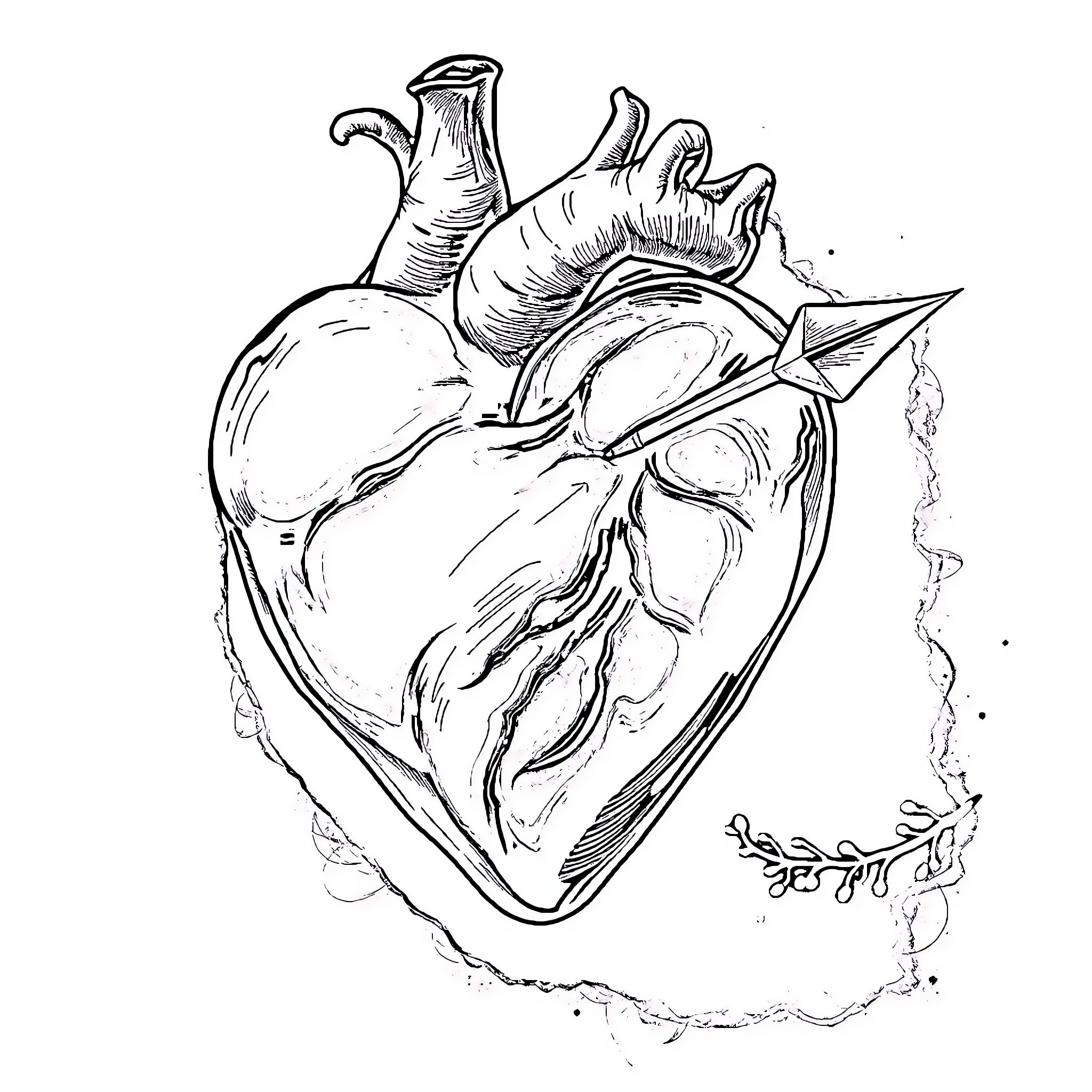 Heart of Compassion and Resilience Coloring Page (free black-and-white line drawing printable PDF for all, from beginners to advanced learners, including children, teens, adults, and seniors)
