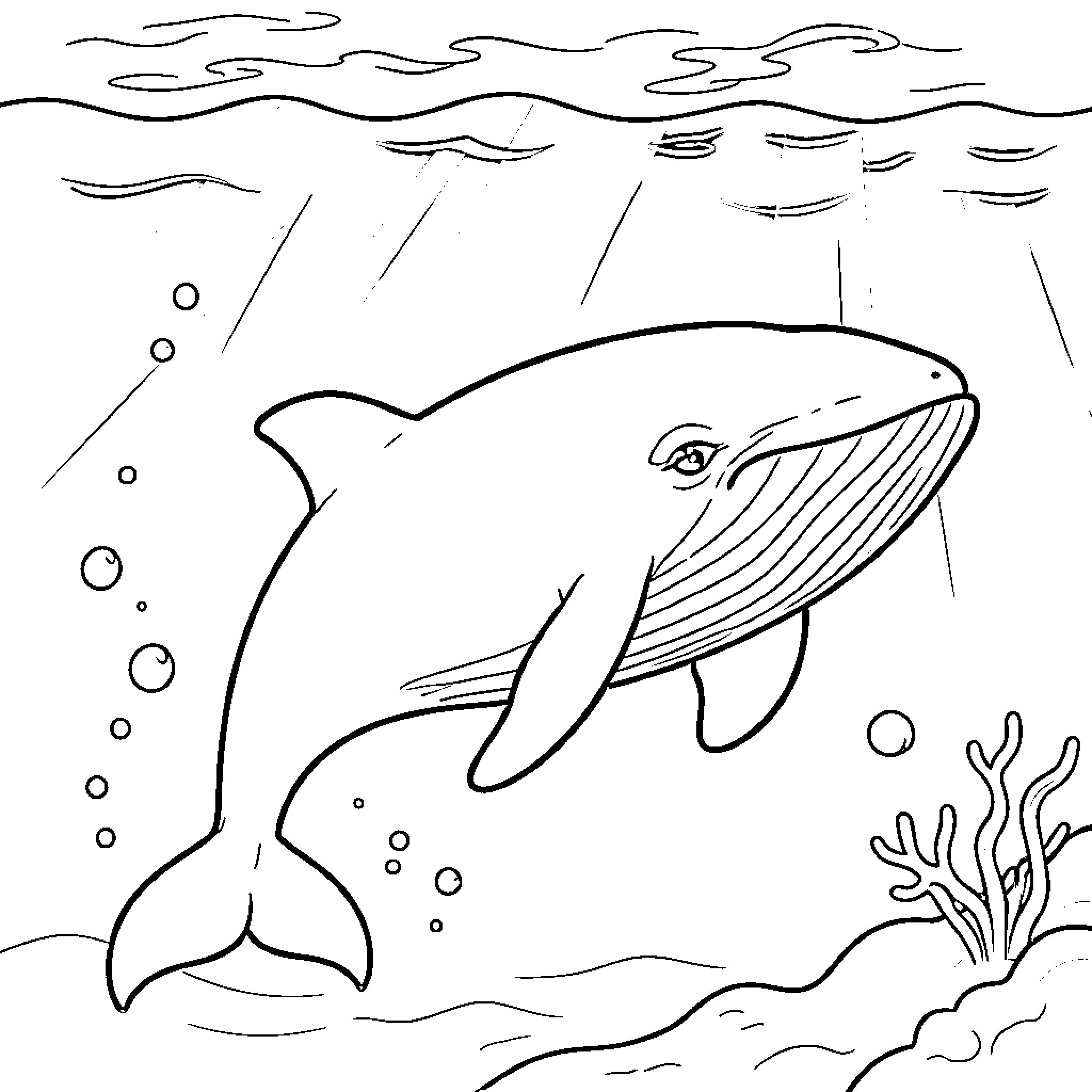 Whale swimming gracefully in the ocean Coloring Page (free black-and-white line drawing printable PDF for all, from beginners to advanced learners, including children, teens, adults, and seniors)