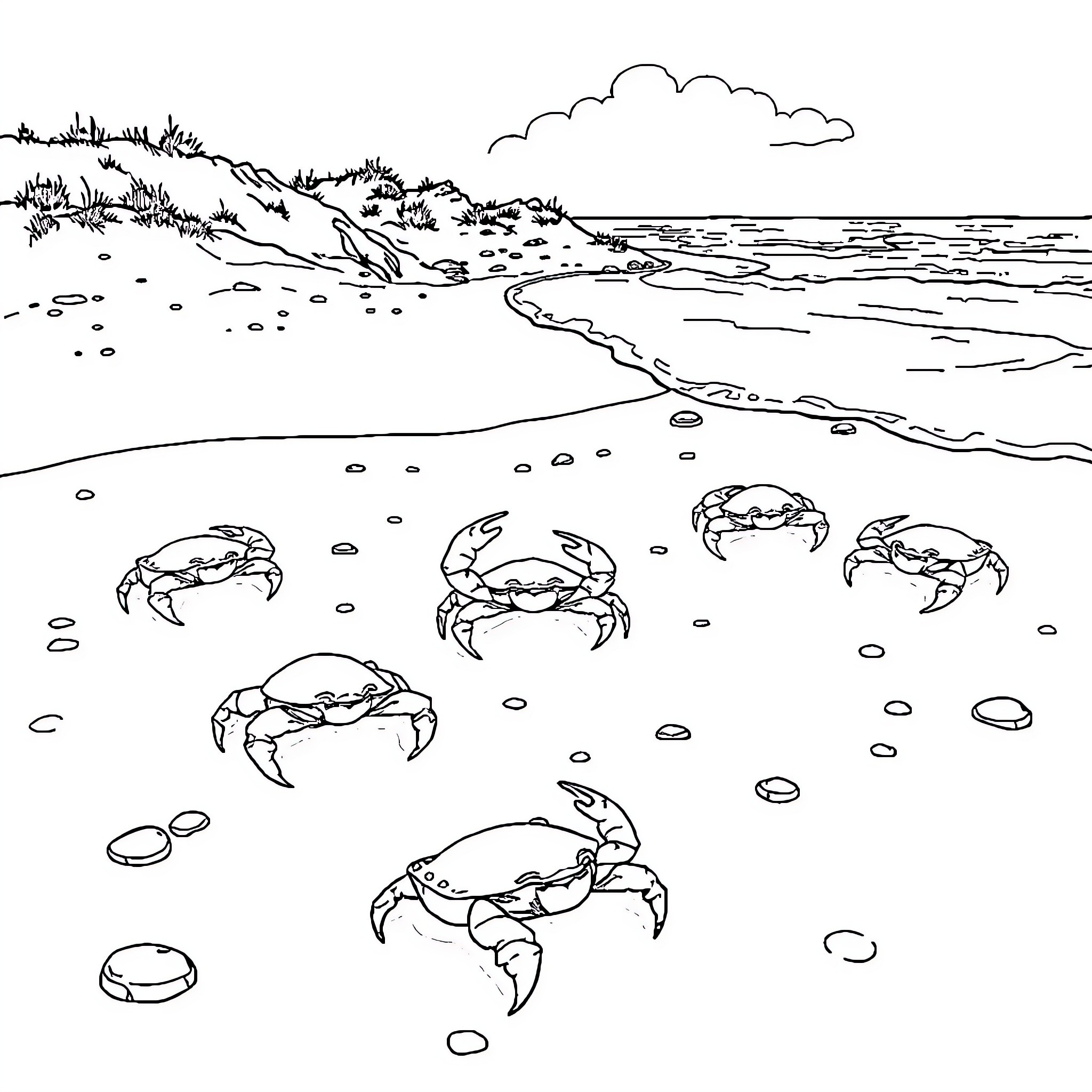 Crabs scurrying on the beach Coloring Page (free black-and-white line drawing printable PDF for all, from beginners to advanced learners, including children, teens, adults, and seniors)