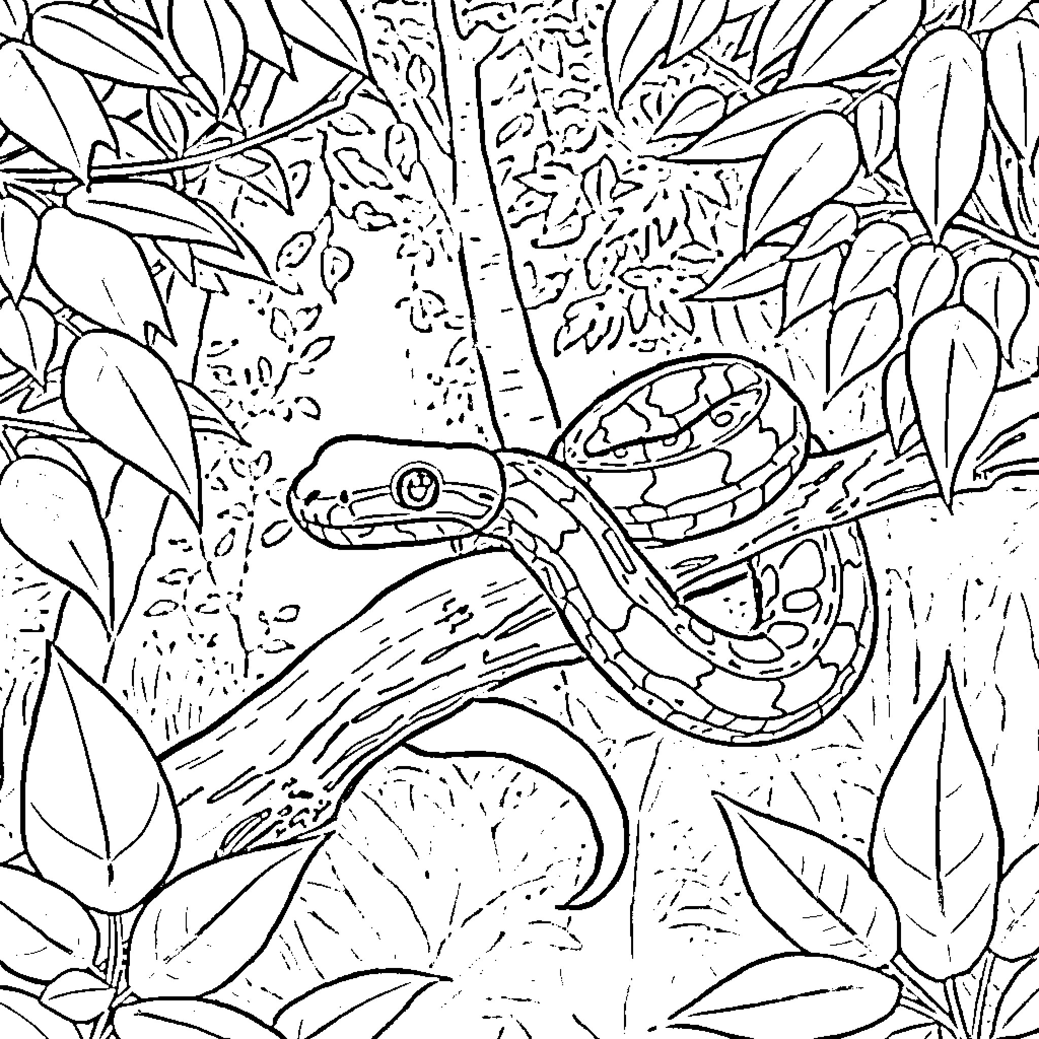 Snake Slithering Amidst Lush Foliage Coloring Page (free black-and-white line drawing printable PDF for all, from beginners to advanced learners, including children, teens, adults, and seniors)