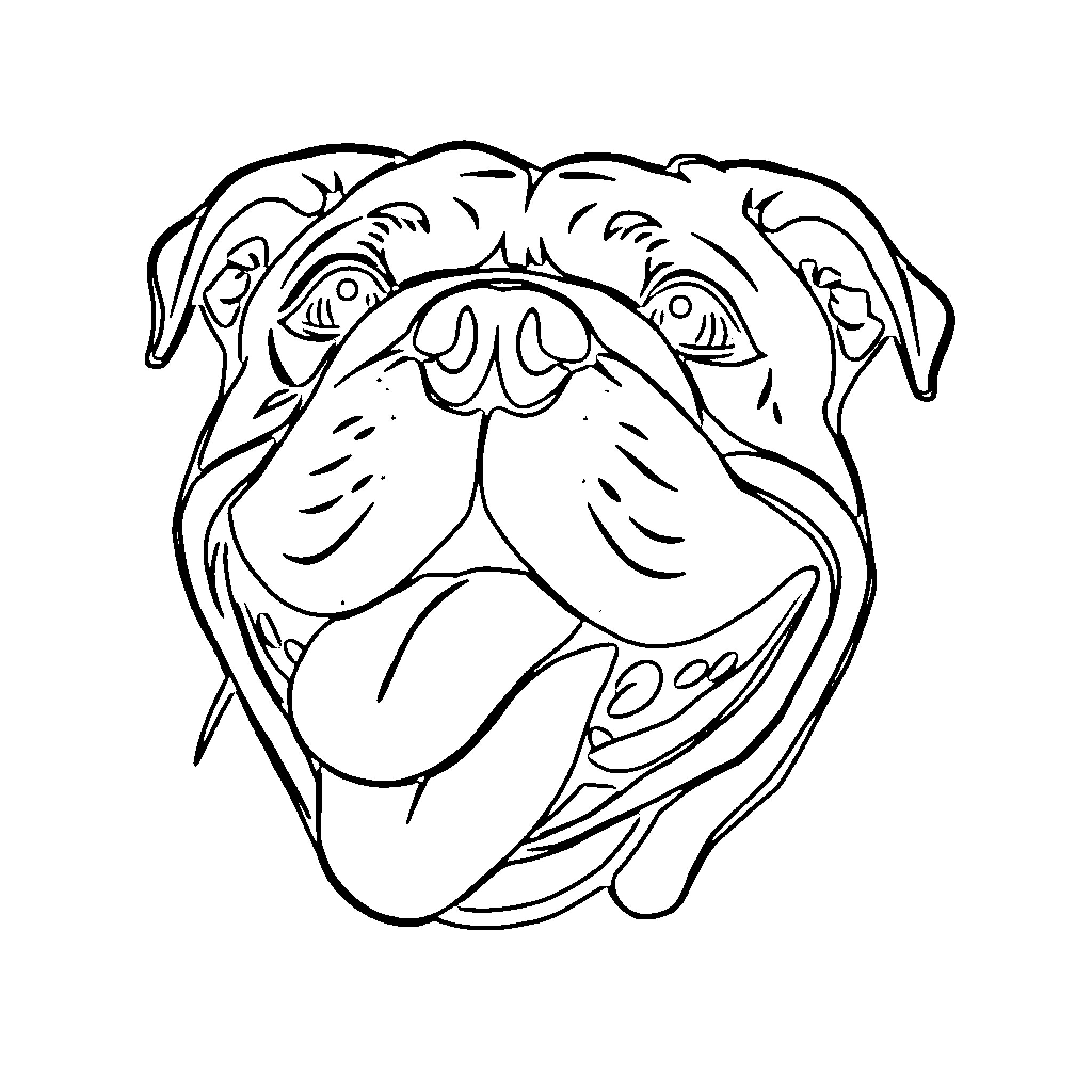 Bulldog with amusing expression Coloring Page (free black-and-white line drawing printable PDF for all, from beginners to advanced learners, including children, teens, adults, and seniors)