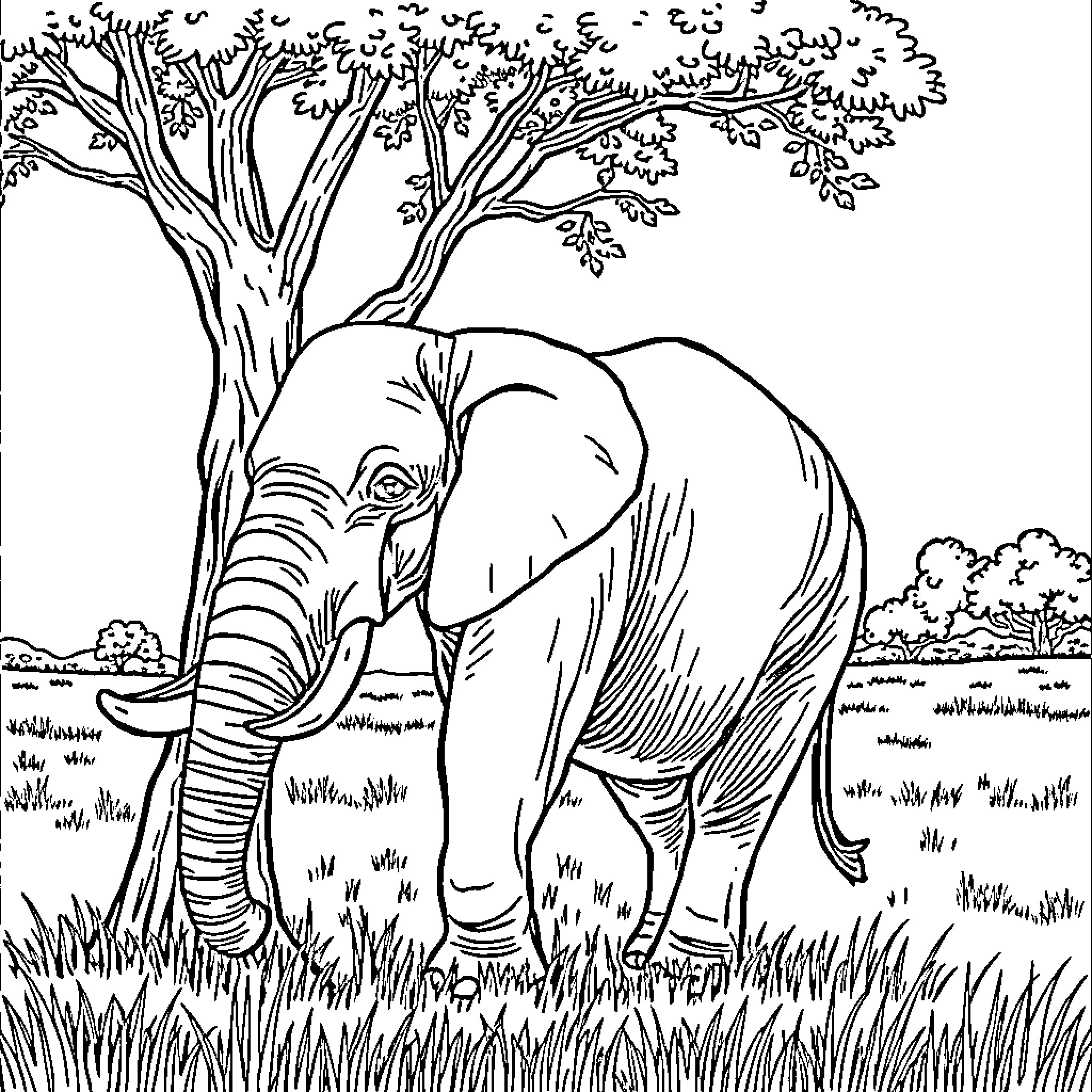 Elephant roaming peacefully in the wild Coloring Page (free black-and-white line drawing printable PDF for all, from beginners to advanced learners, including children, teens, adults, and seniors)