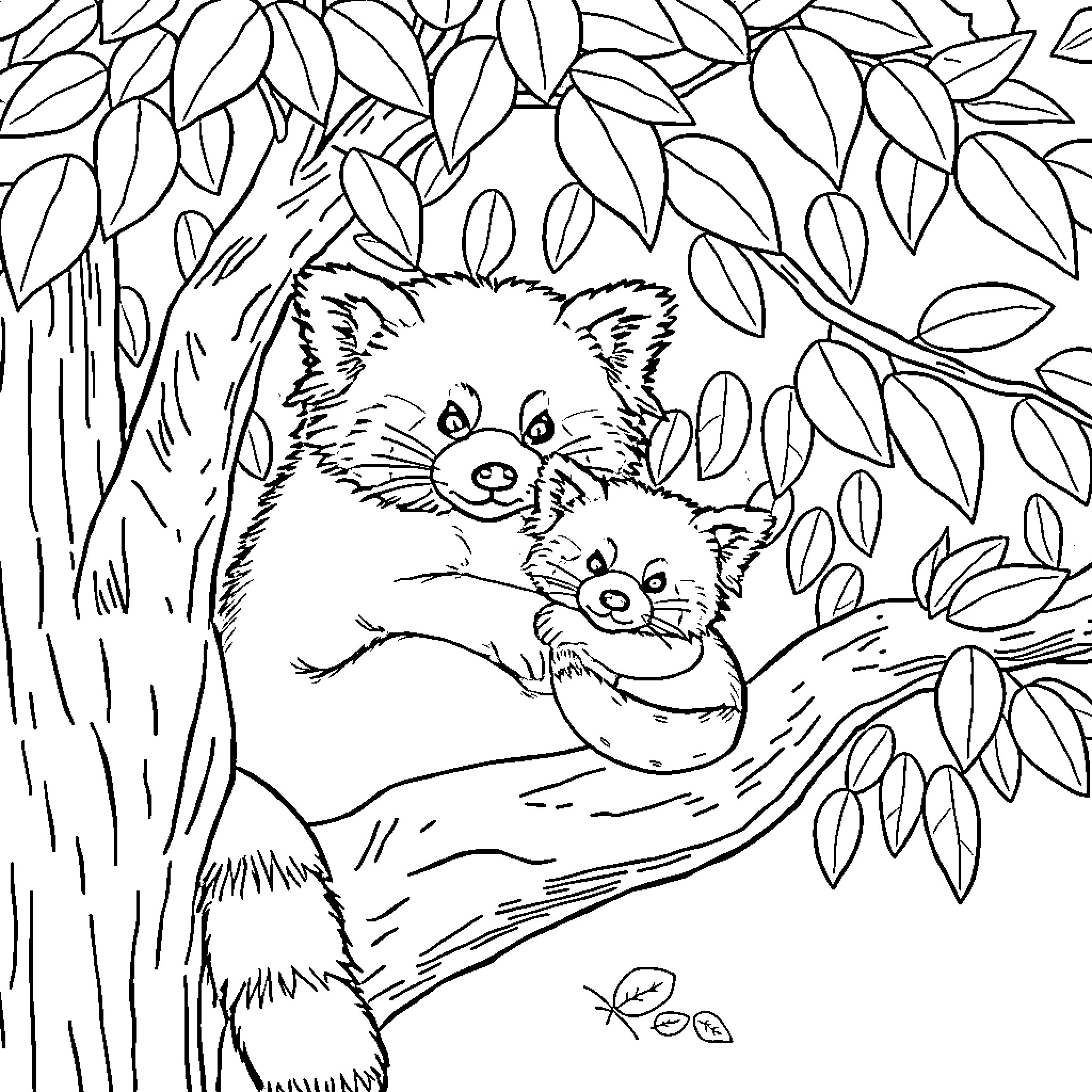 Panda family resting together in the foliage Coloring Page (free black-and-white line drawing printable PDF for all, from beginners to advanced learners, including children, teens, adults, and seniors)