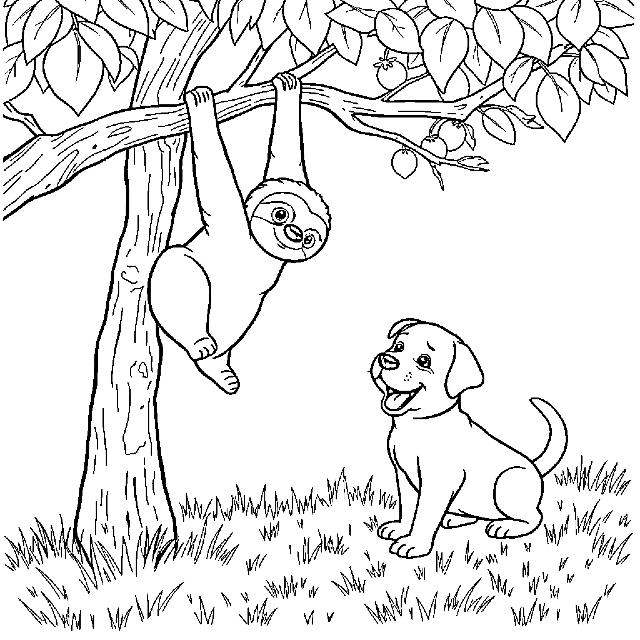 Sloth hanging playfully on a tree branch with a dog Coloring Page (free black-and-white line drawing printable PDF for all, from beginners to advanced learners, including children, teens, adults, and seniors)