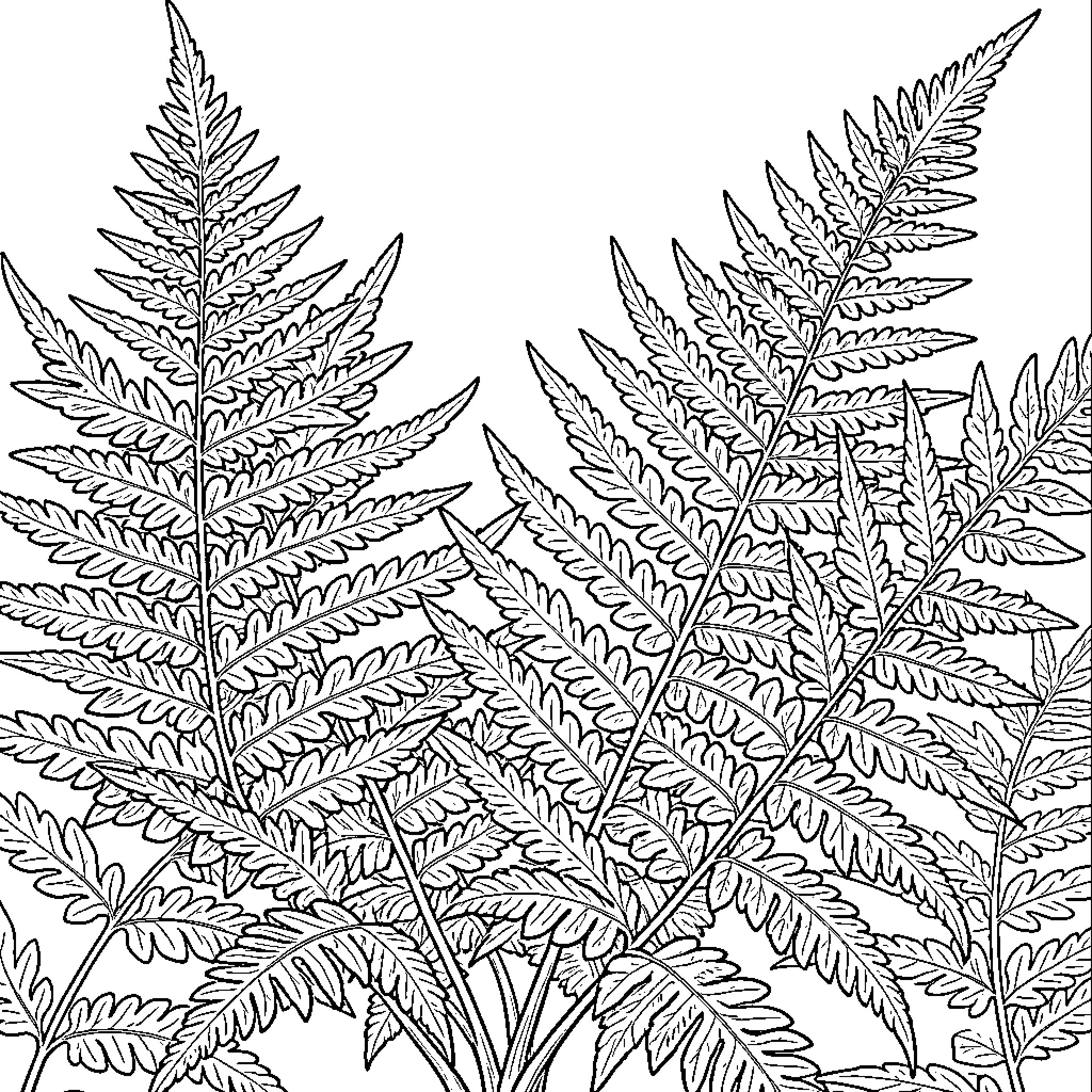 Fern fronds swaying gracefully in the breeze Coloring Page (free black-and-white line drawing printable PDF for all, from beginners to advanced learners, including children, teens, adults, and seniors)