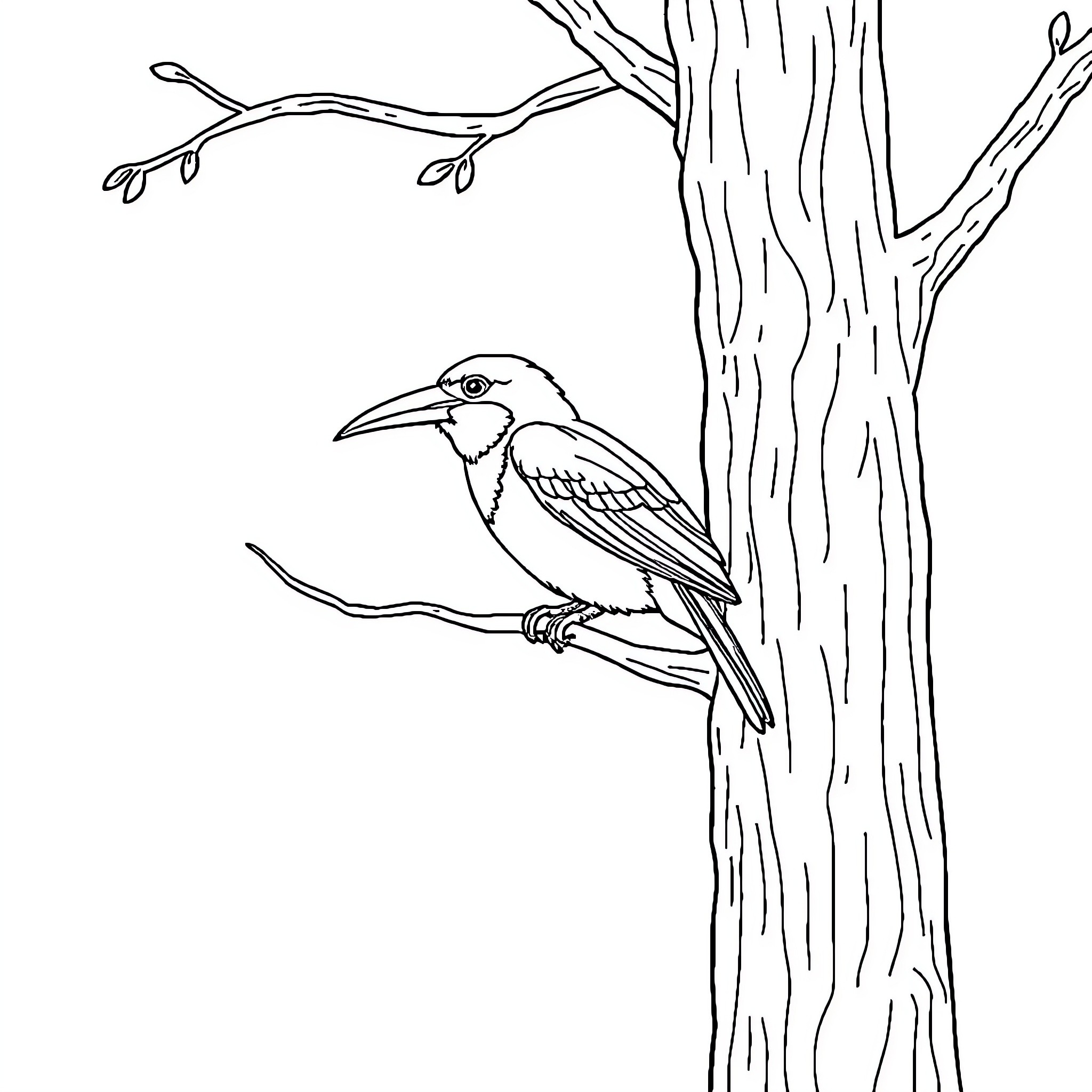 Bird perched on a tree branch Coloring Page (free black-and-white line drawing printable PDF for all, from beginners to advanced learners, including children, teens, adults, and seniors)