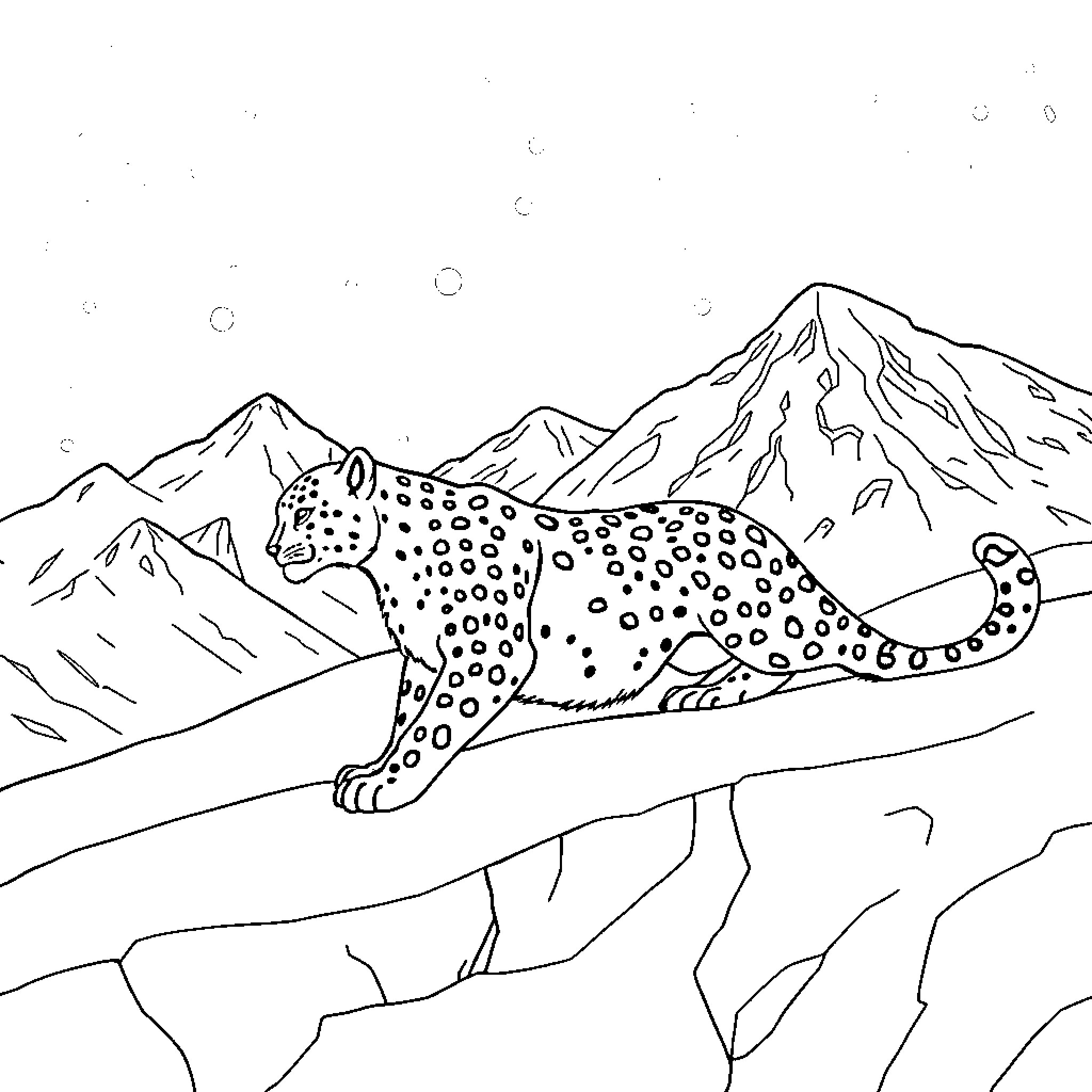 Snow Leopard Prowling Through Snowy Mountains Coloring Page (free black-and-white line drawing printable PDF for all, from beginners to advanced learners, including children, teens, adults, and seniors)