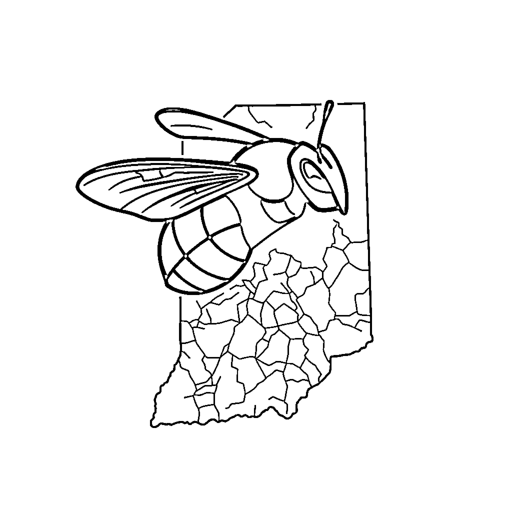 Yellow Jacket Perched on Cracked Surface Coloring Page (free black-and-white line drawing printable PDF for all, from beginners to advanced learners, including children, teens, adults, and seniors)