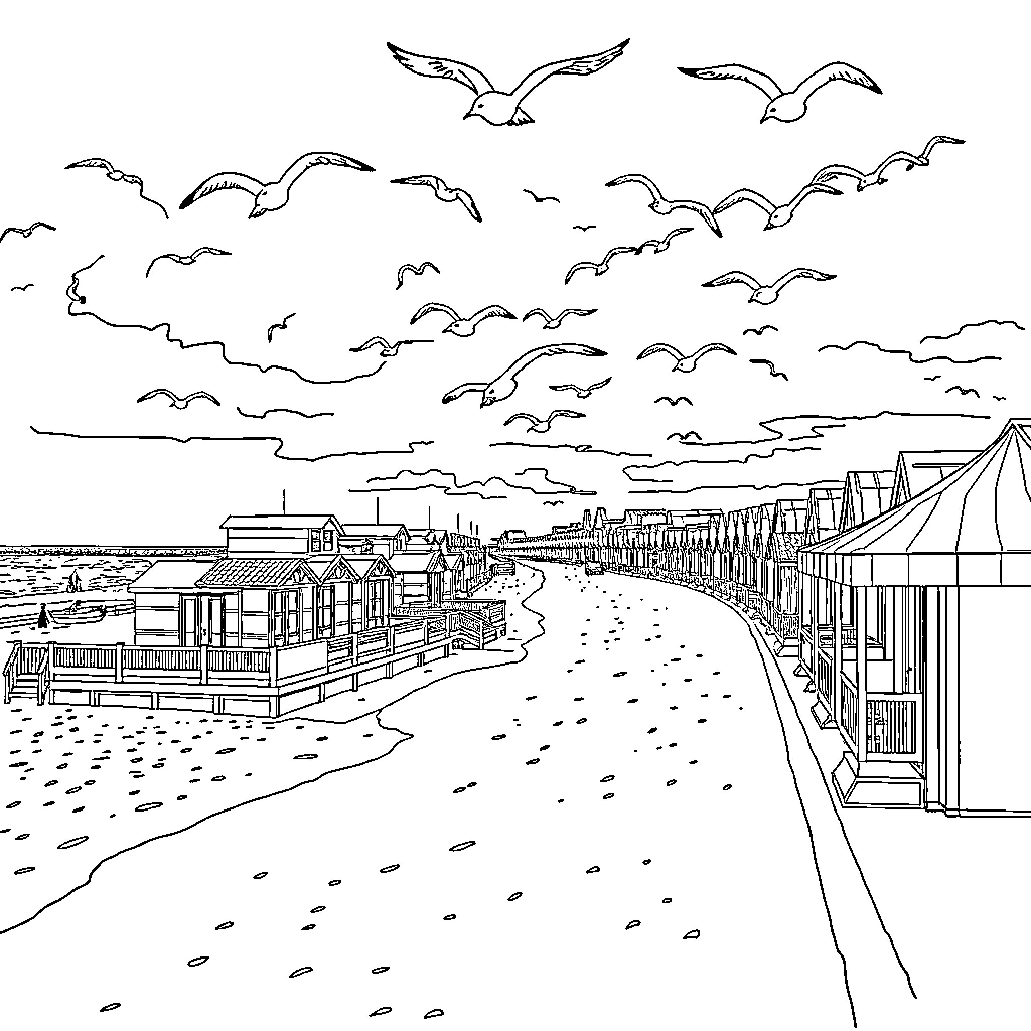 Seafront with seabirds and beachside cottages Coloring Page (free black-and-white line drawing printable PDF for all, from beginners to advanced learners, including children, teens, adults, and seniors)