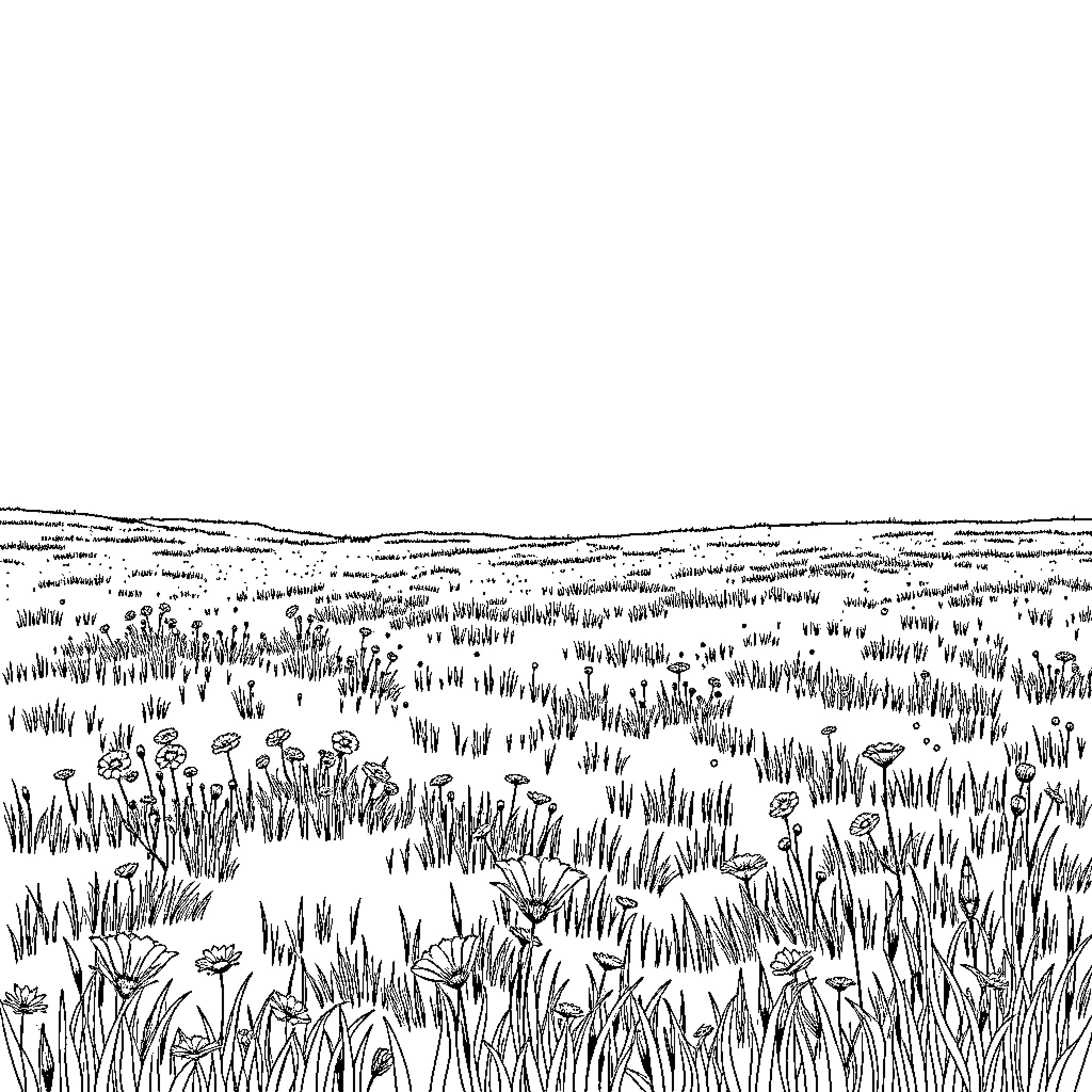 Field of Wildflowers and Grassy Landscape Coloring Page (free black-and-white line drawing printable PDF for all, from beginners to advanced learners, including children, teens, adults, and seniors)