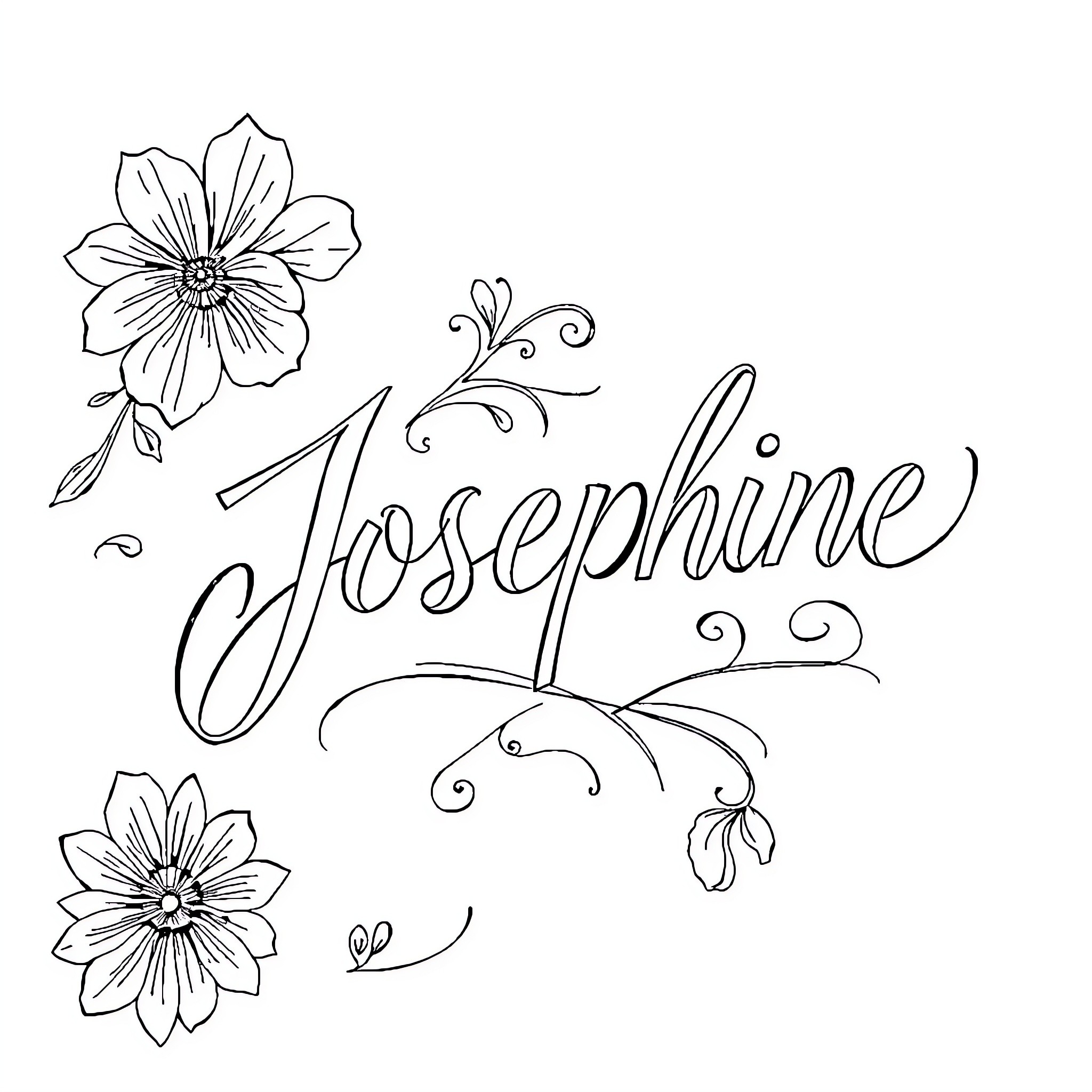 Josephine's Elegant Floral Sketch Coloring Page (free black-and-white line drawing printable PDF for all, from beginners to advanced learners, including children, teens, adults, and seniors)