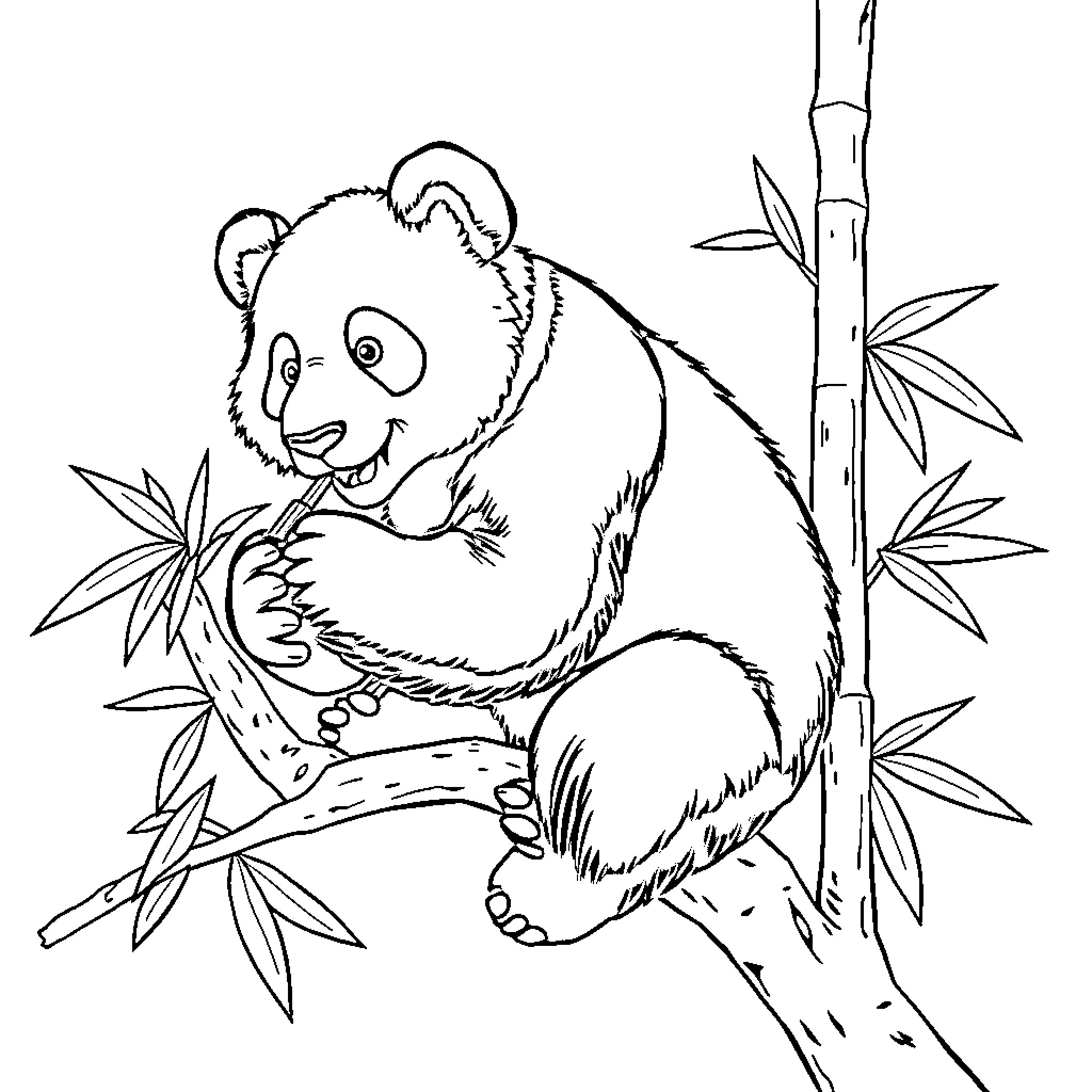 Panda relaxing on a bamboo branch Coloring Page (free black-and-white line drawing printable PDF for all, from beginners to advanced learners, including children, teens, adults, and seniors)