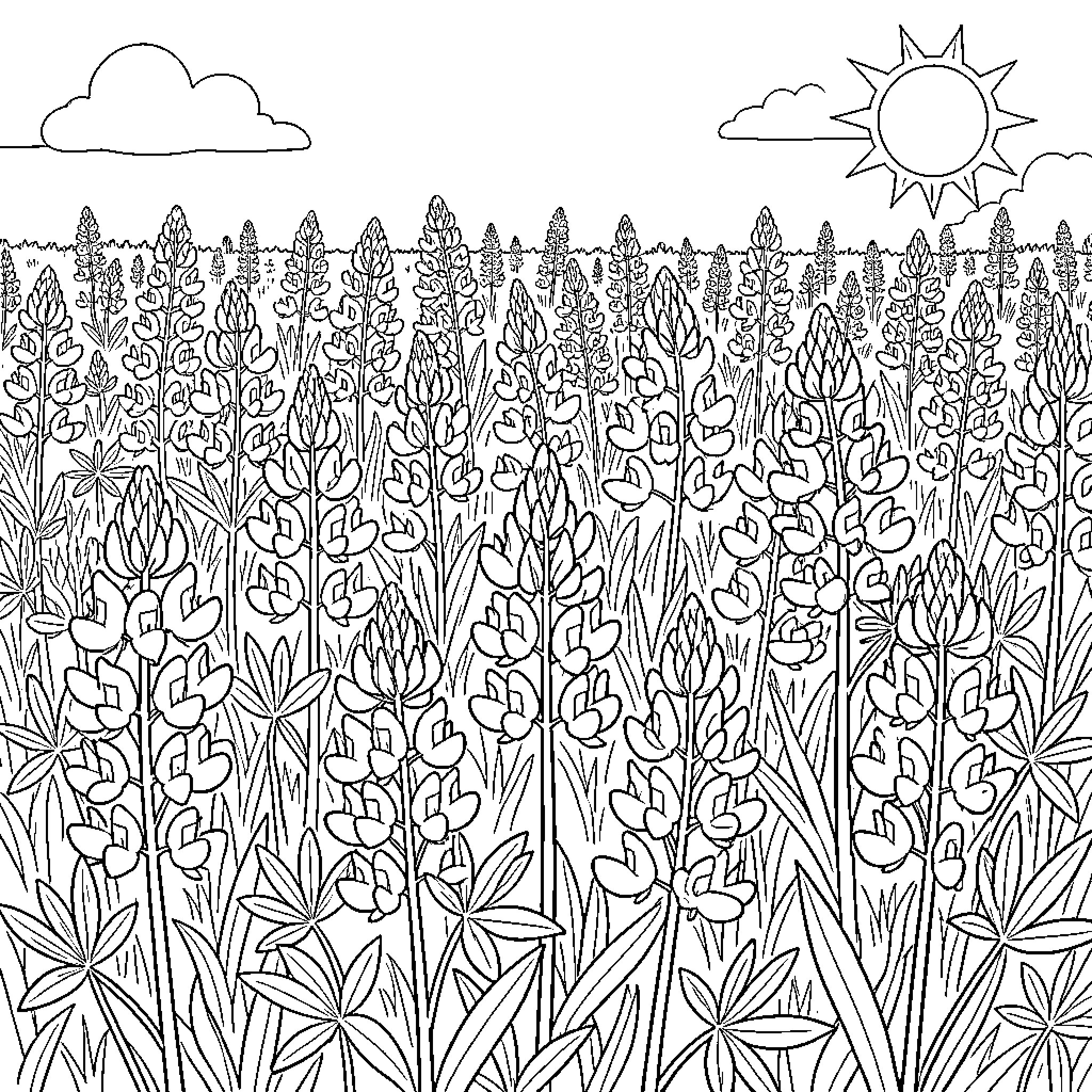 Bluebonnet field under a sunny sky Coloring Page (free black-and-white line drawing printable PDF for all, from beginners to advanced learners, including children, teens, adults, and seniors)