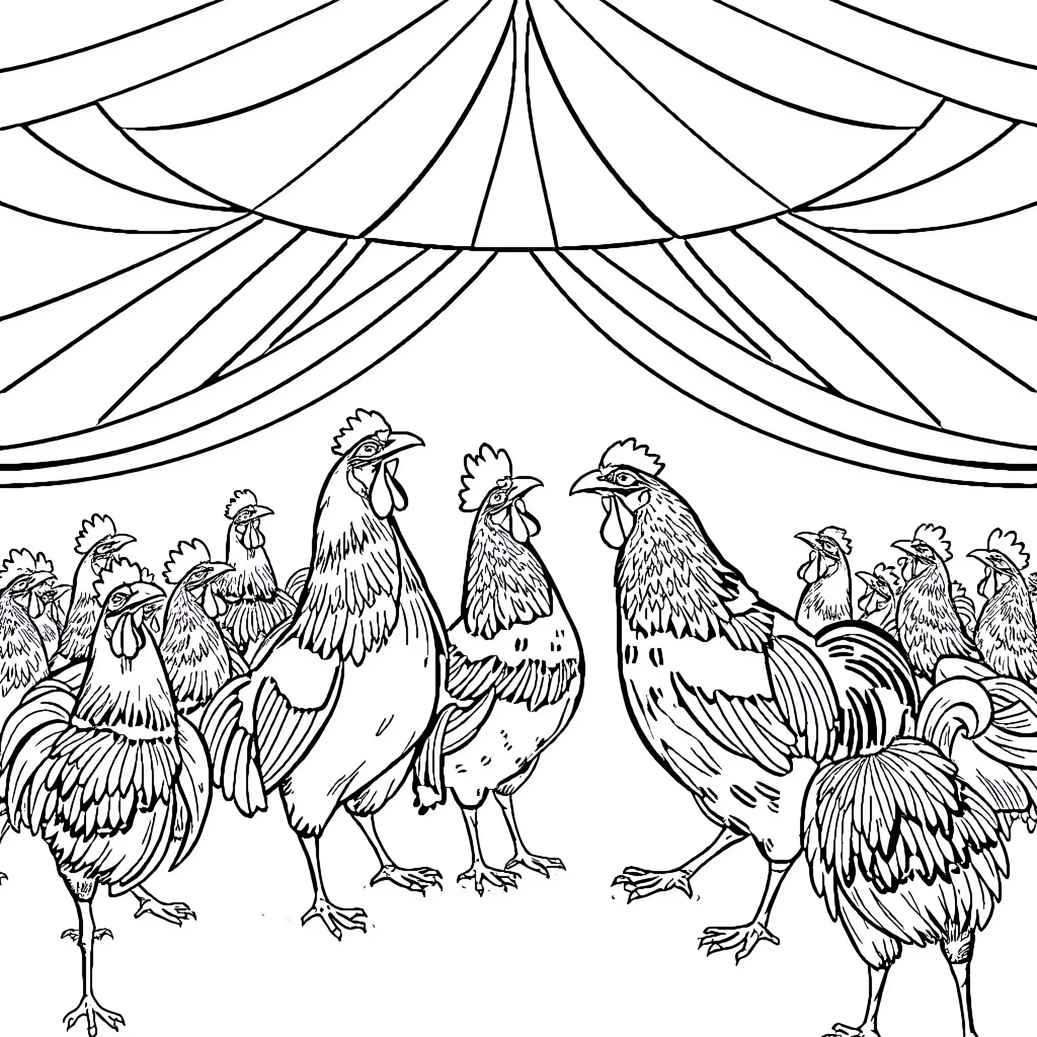 Guinea Fowl performing under the circus tent Coloring Page (free black-and-white line drawing printable PDF for all, from beginners to advanced learners, including children, teens, adults, and seniors)