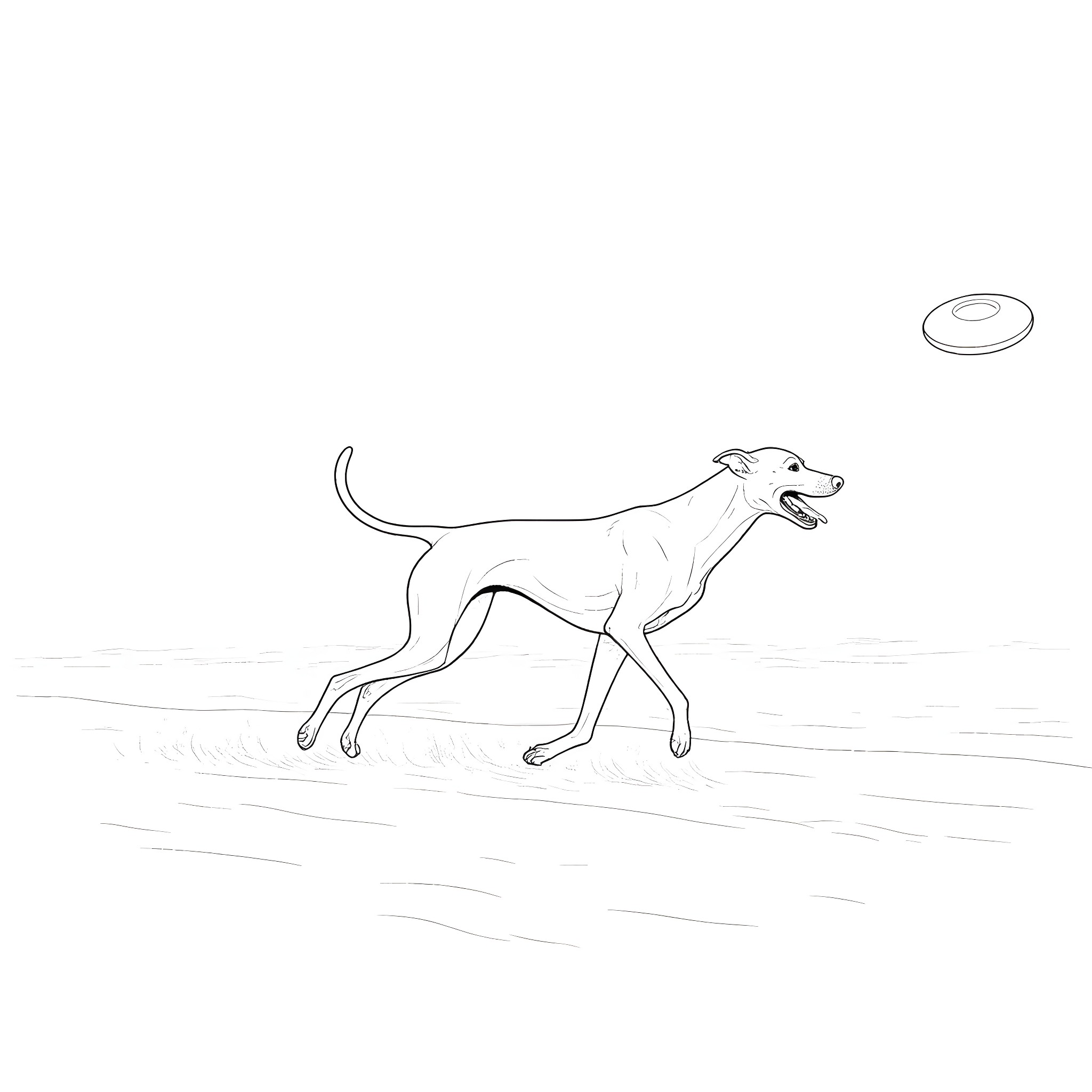 Dog chasing a frisbee in the park Coloring Page (free black-and-white line drawing printable PDF for all, from beginners to advanced learners, including children, teens, adults, and seniors)