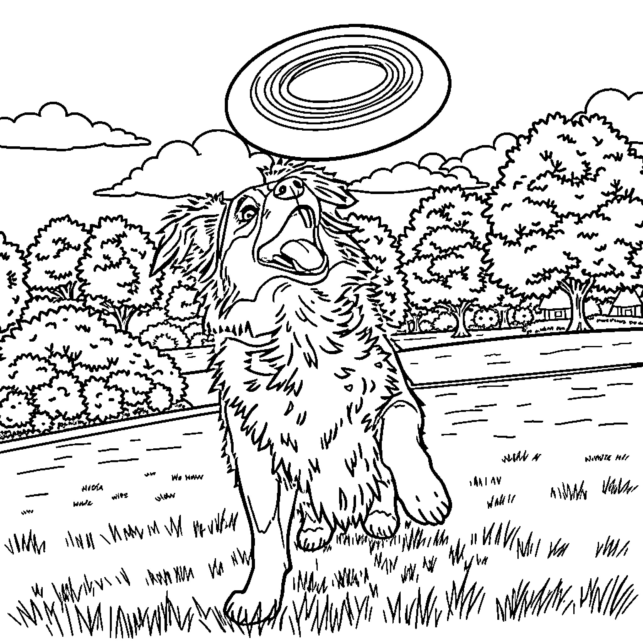 Australian Shepherd playing with Frisbee in park Coloring Page (free black-and-white line drawing printable PDF for all, from beginners to advanced learners, including children, teens, adults, and seniors)