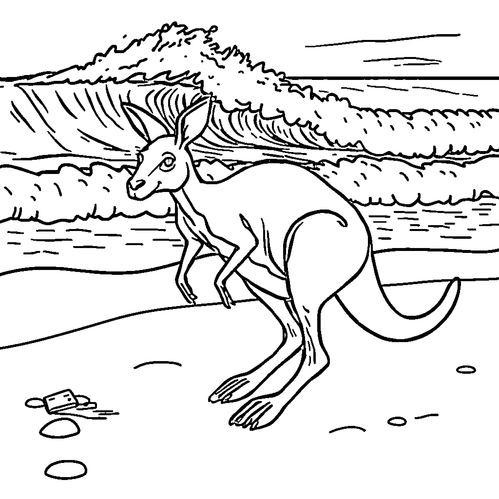 Kangaroo hopping in the desert landscape Coloring Page (free black-and-white line drawing printable PDF for all, from beginners to advanced learners, including children, teens, adults, and seniors)