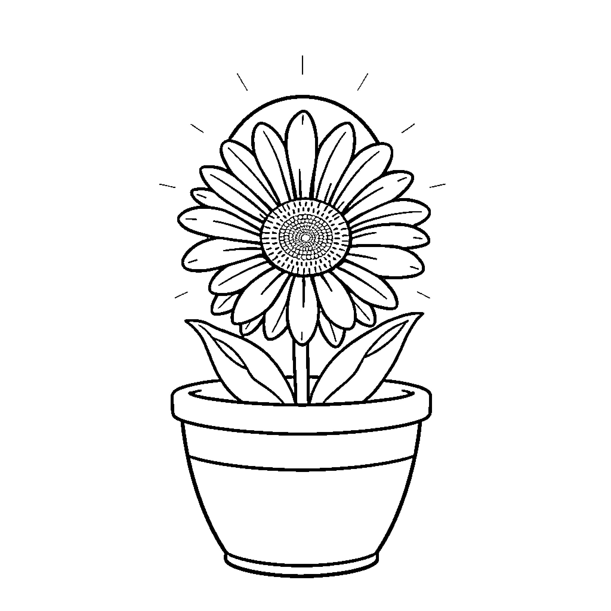 Daisy flower in a pot Coloring Page (free black-and-white line drawing printable PDF for all, from beginners to advanced learners, including children, teens, adults, and seniors)