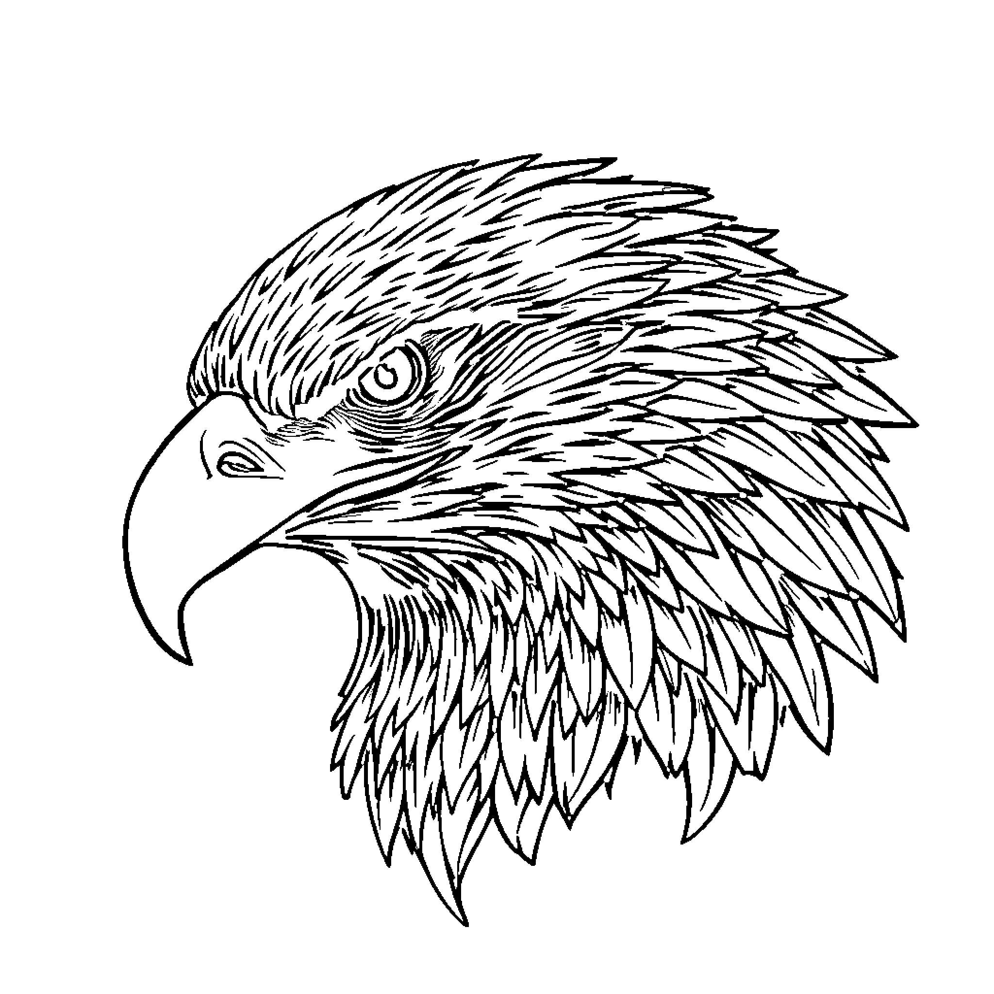 Eagle's Majestic Head Profile Coloring Page (free black-and-white line drawing printable PDF for all, from beginners to advanced learners, including children, teens, adults, and seniors)