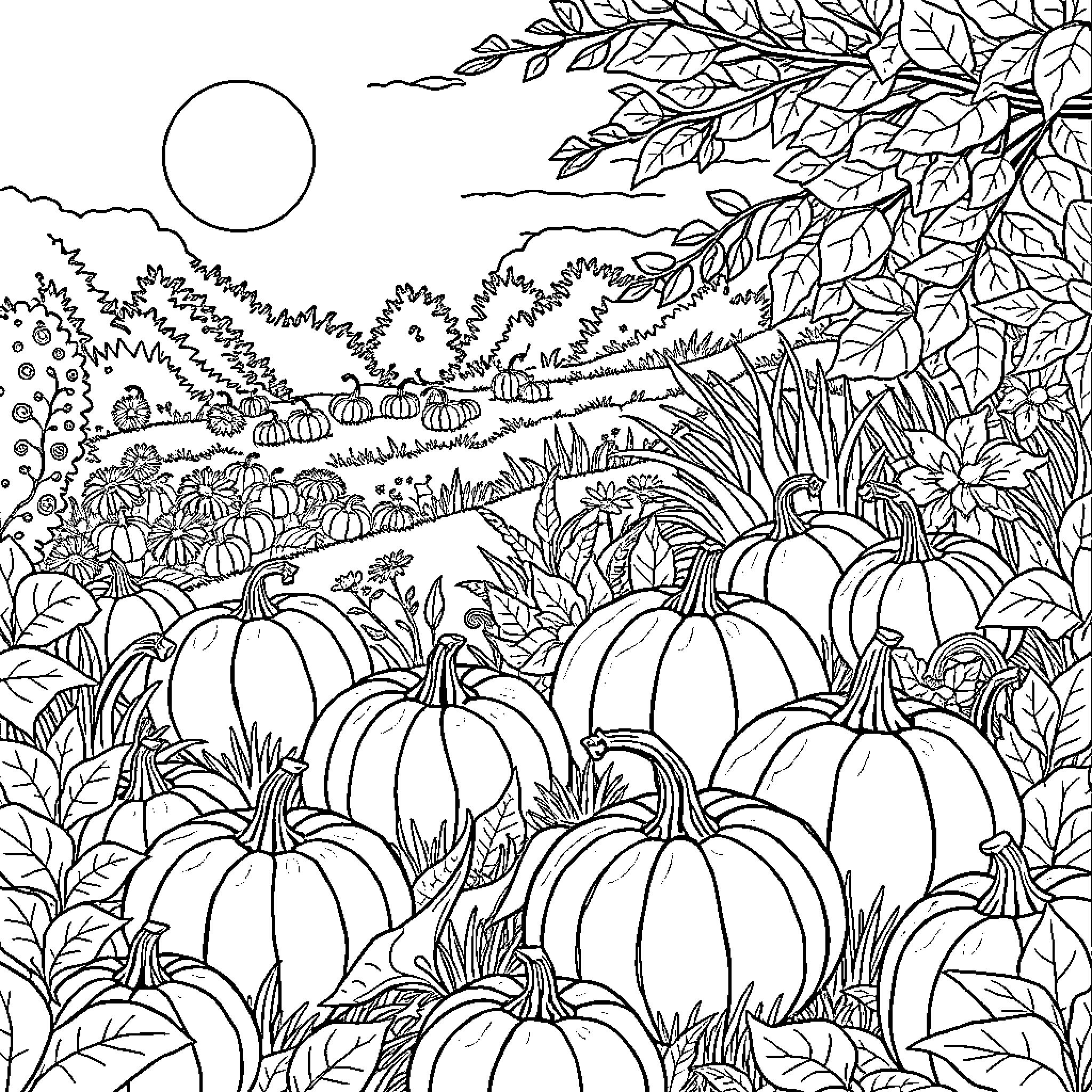 Pumpkin patch in autumn landscape Coloring Page (free black-and-white line drawing printable PDF for all, from beginners to advanced learners, including children, teens, adults, and seniors)