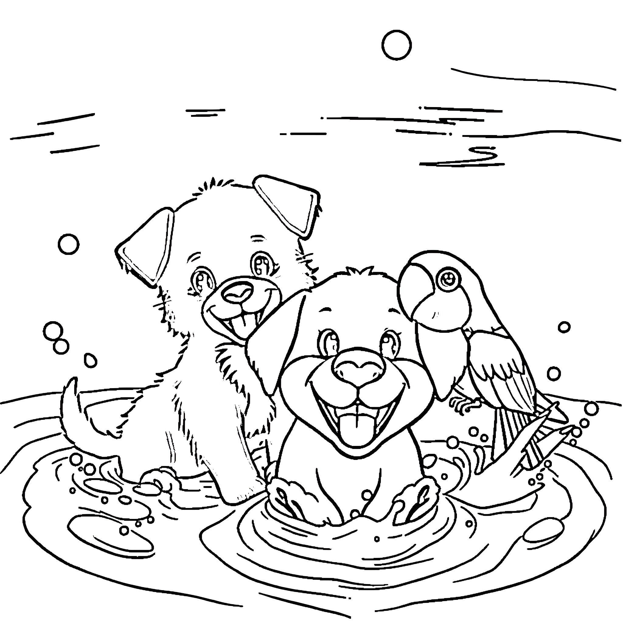 Kitten friends splashing in the pond Coloring Page (free black-and-white line drawing printable PDF for all, from beginners to advanced learners, including children, teens, adults, and seniors)
