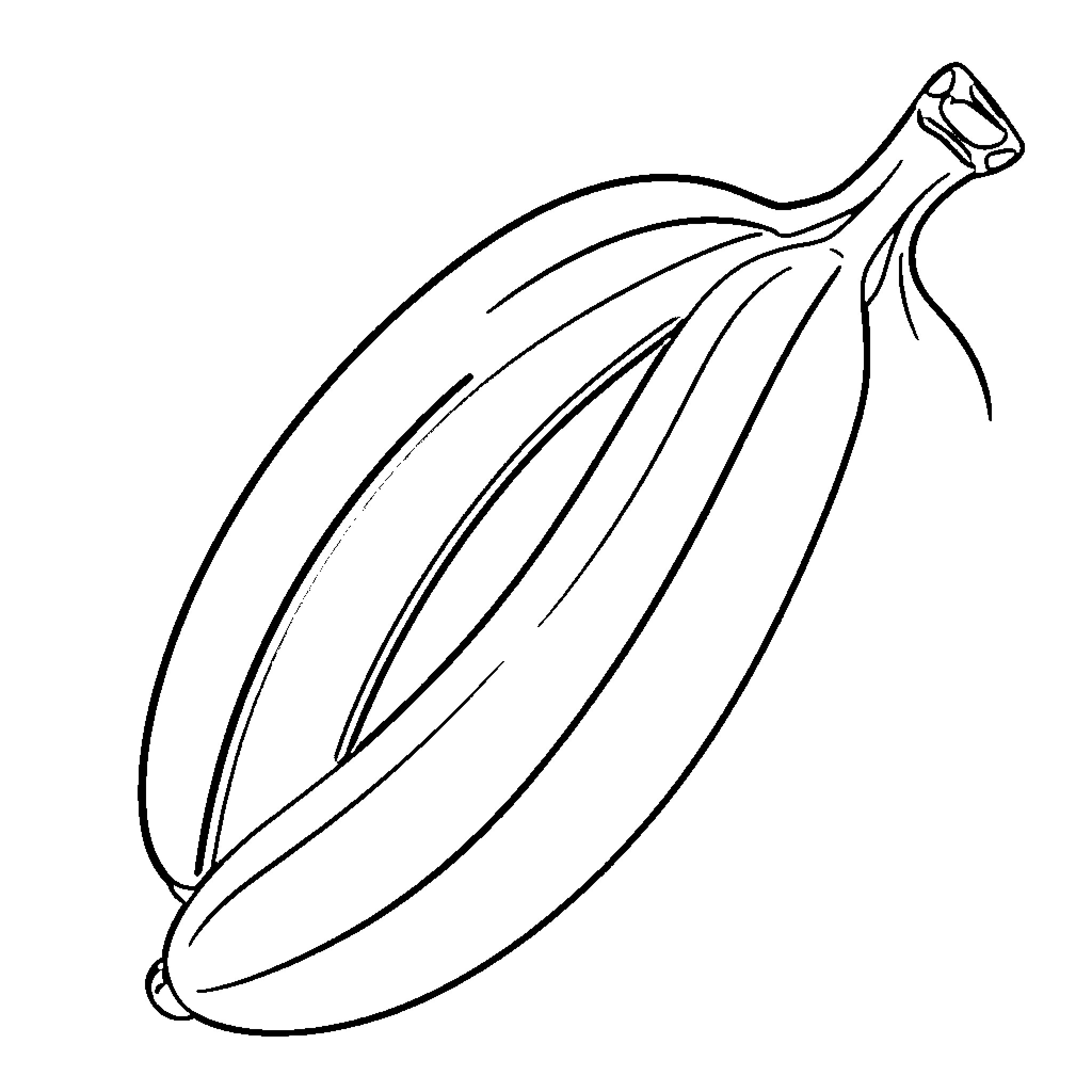 Banana bunch in simple outline Coloring Page (free black-and-white line drawing printable PDF for all, from beginners to advanced learners, including children, teens, adults, and seniors)