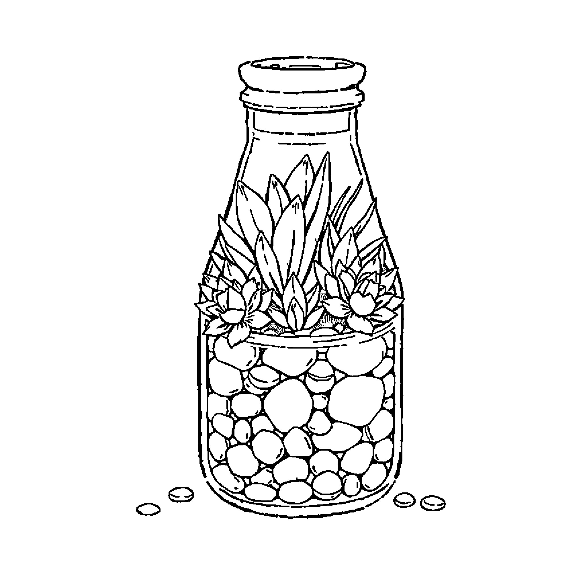 Succulent Plants in a Glass Jar Coloring Page (free black-and-white line drawing printable PDF for all, from beginners to advanced learners, including children, teens, adults, and seniors)