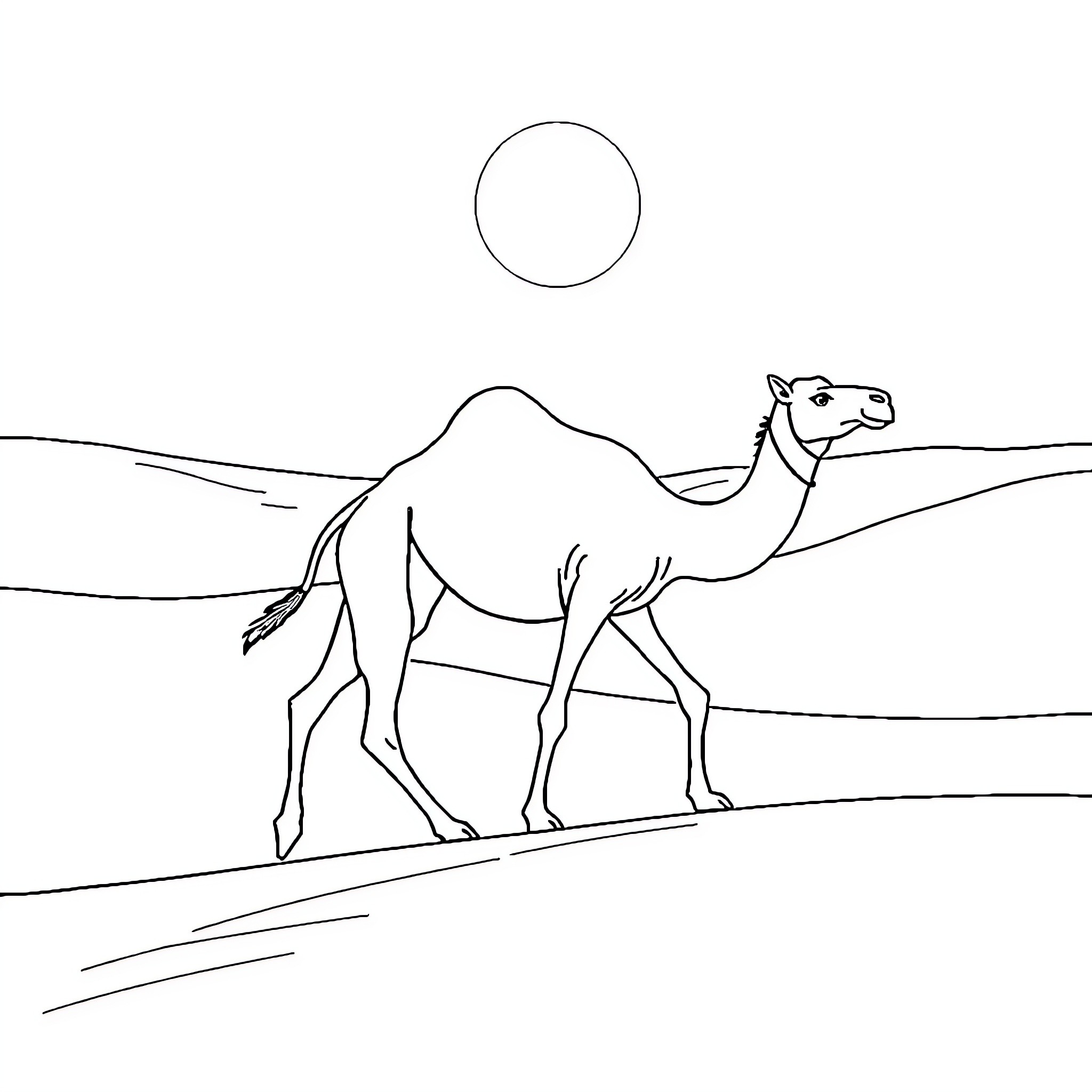 Camel walking across desert landscape Coloring Page (free black-and-white line drawing printable PDF for all, from beginners to advanced learners, including children, teens, adults, and seniors)