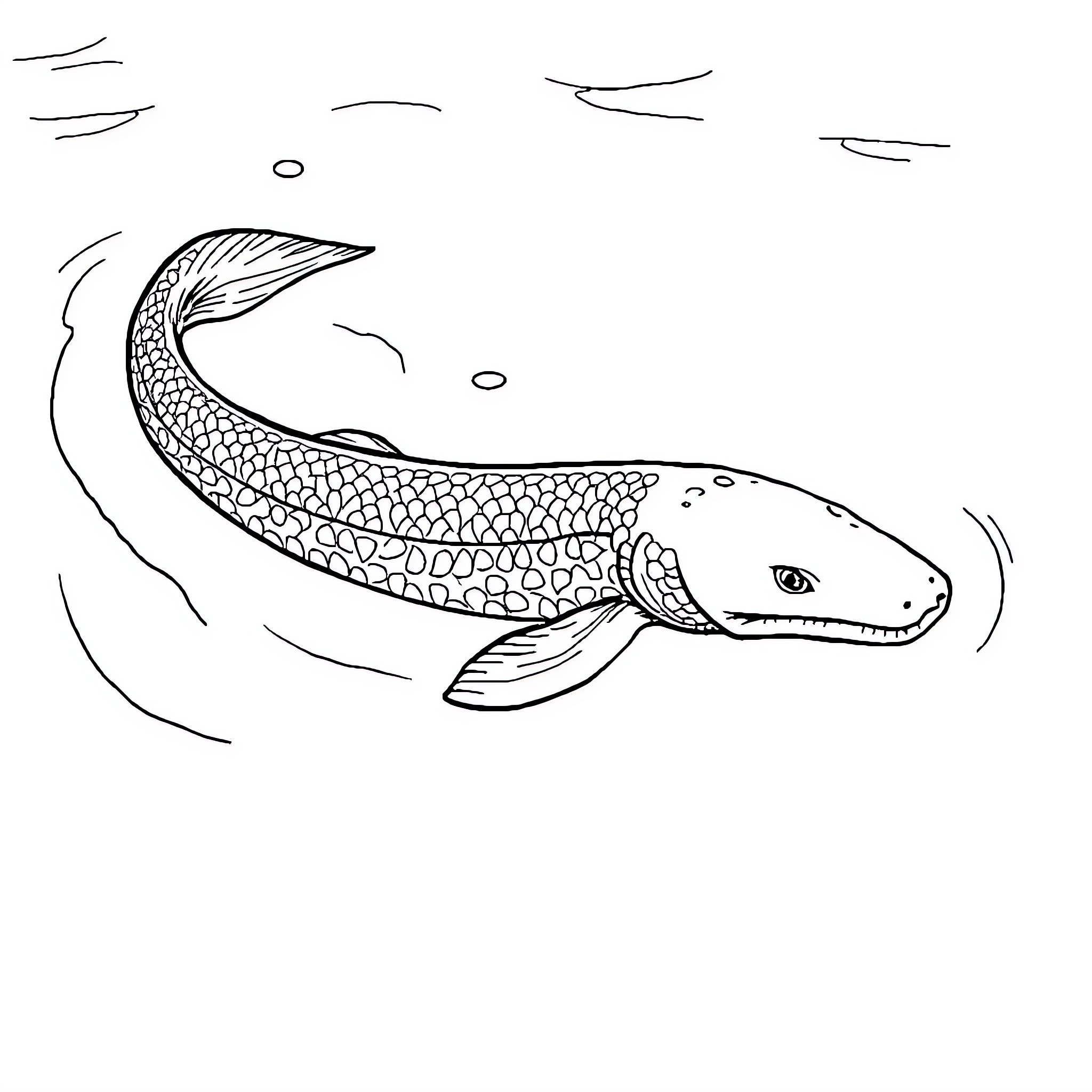 Eel swimming gracefully in the water Coloring Page (free black-and-white line drawing printable PDF for all, from beginners to advanced learners, including children, teens, adults, and seniors)