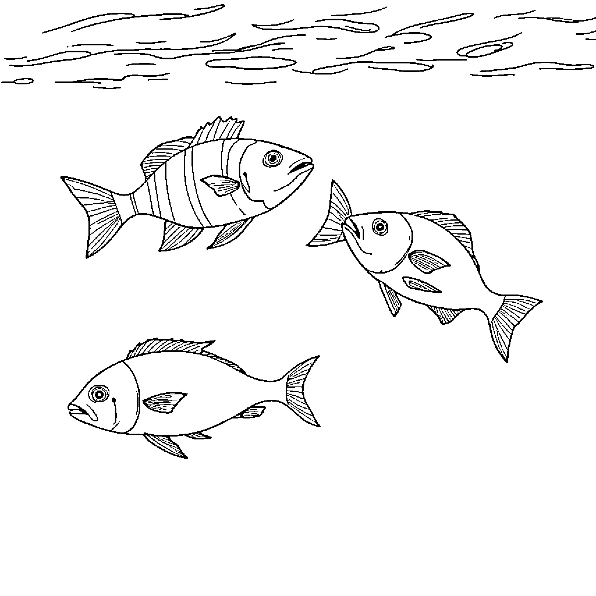 Fish swimming in the ocean Coloring Page (free black-and-white line drawing printable PDF for all, from beginners to advanced learners, including children, teens, adults, and seniors)
