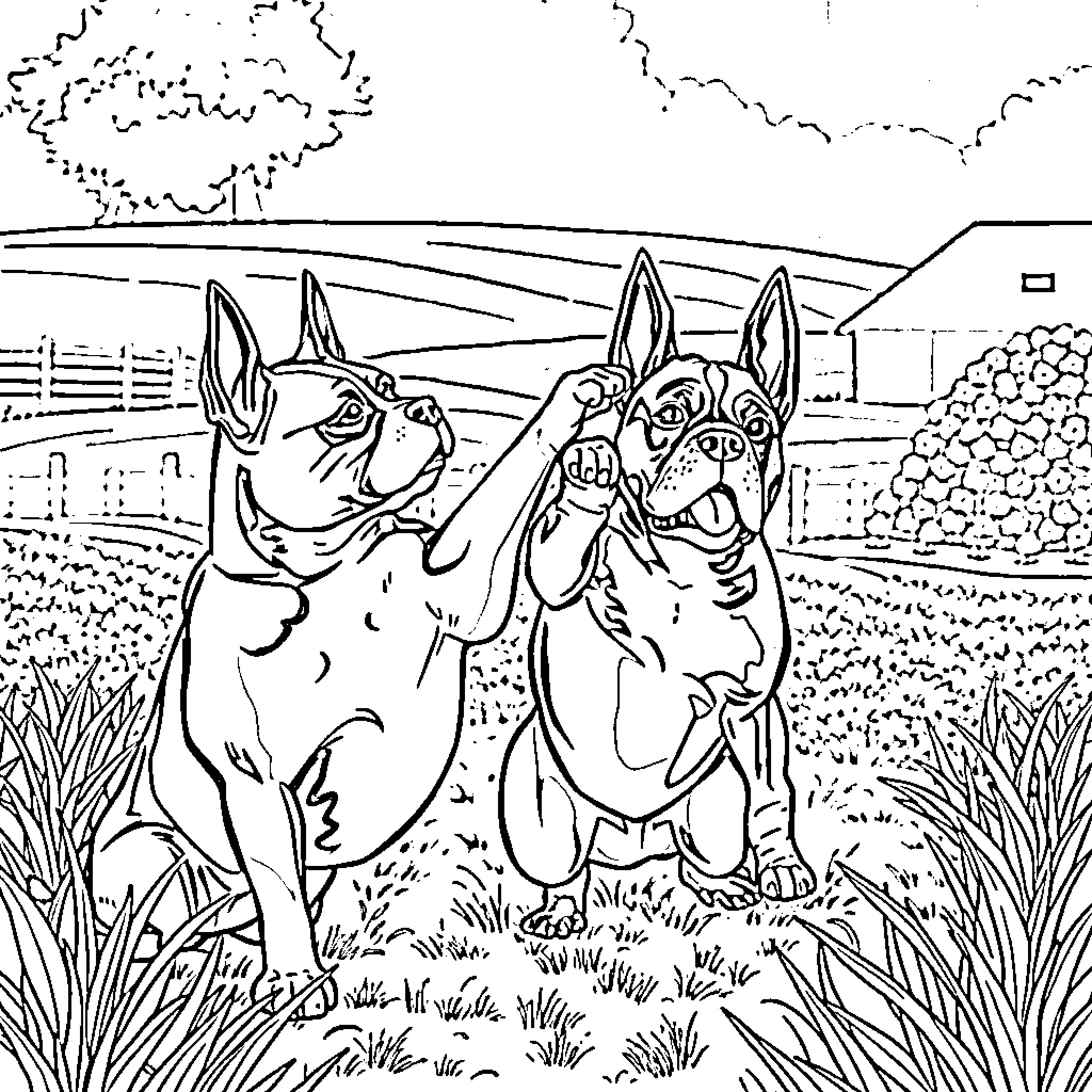 Bouvier Bernois playing playfully in the field Coloring Page (free black-and-white line drawing printable PDF for all, from beginners to advanced learners, including children, teens, adults, and seniors)