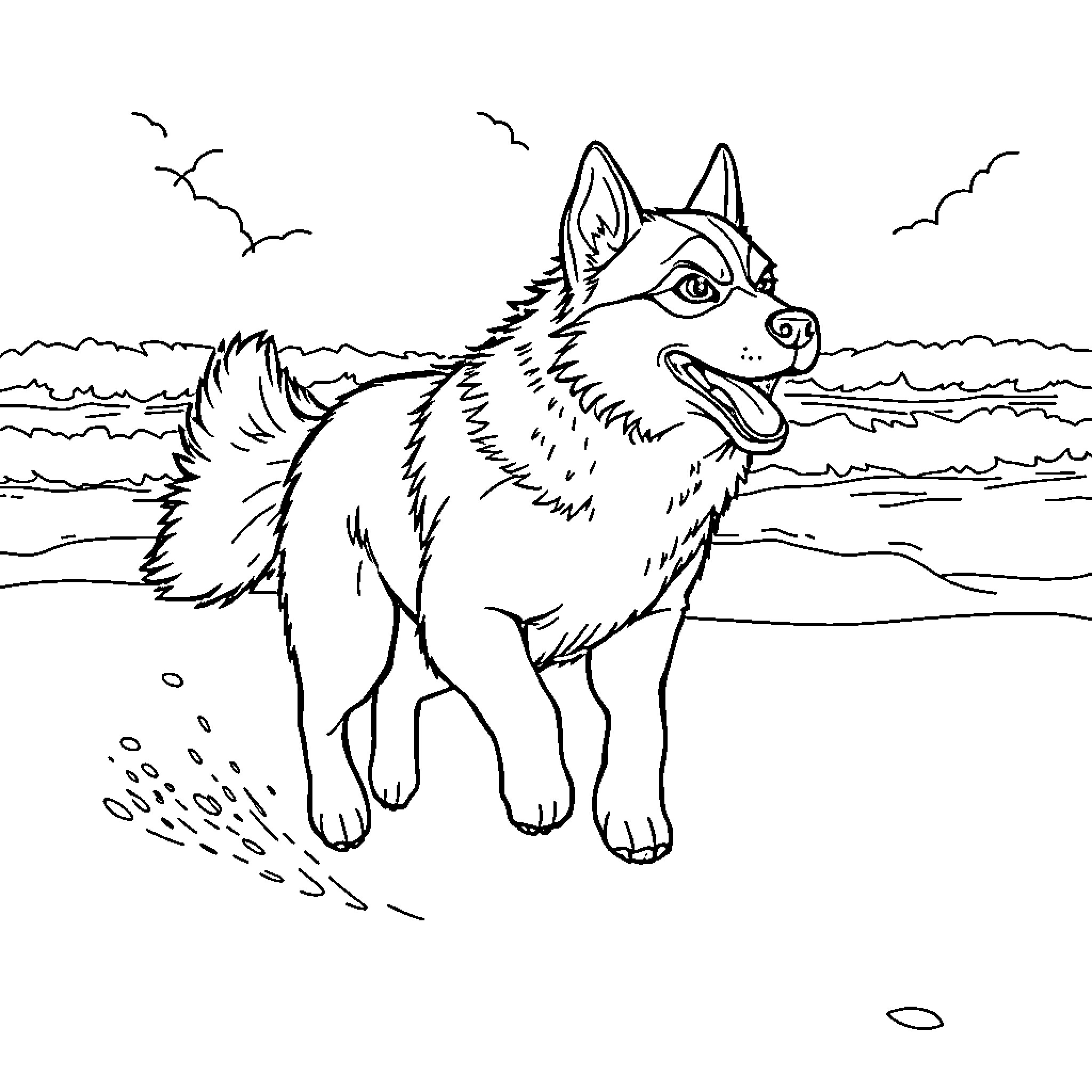 Husky enjoys the outdoors on the beach Coloring Page (free black-and-white line drawing printable PDF for all, from beginners to advanced learners, including children, teens, adults, and seniors)