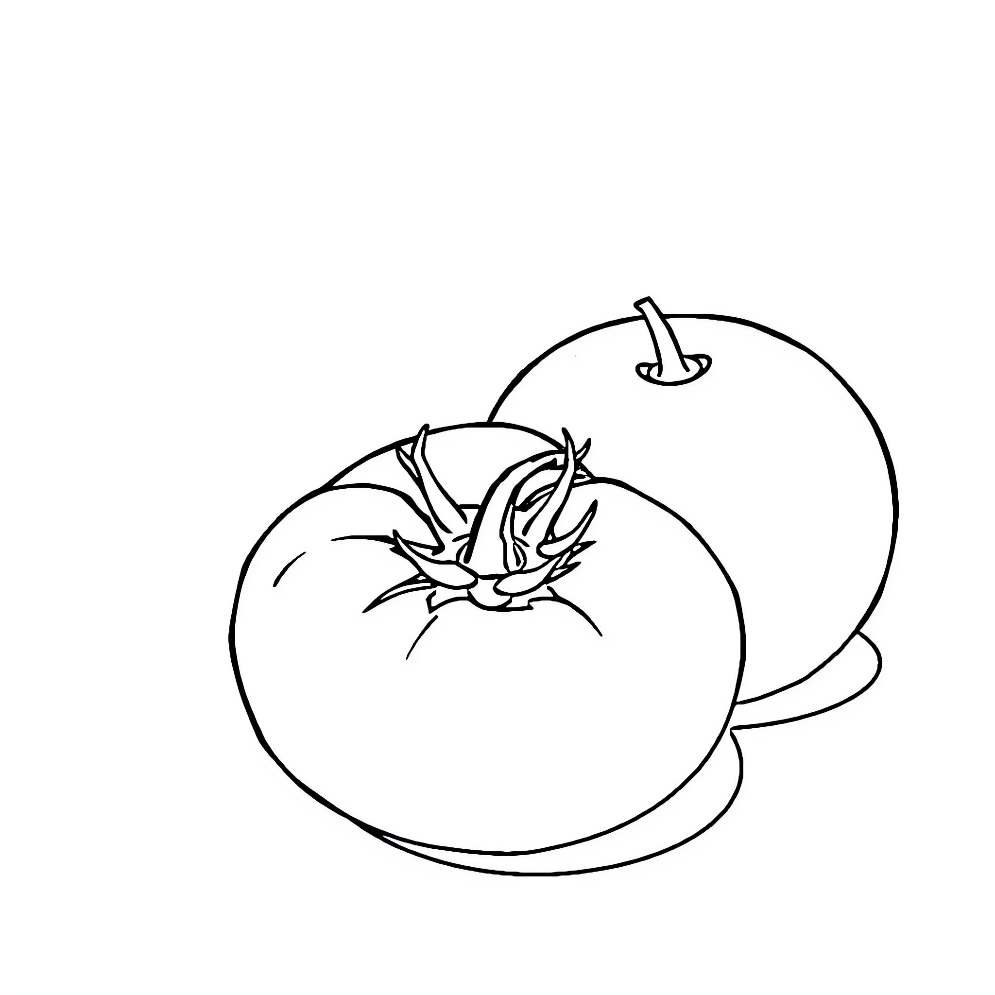 Tomato sketch with simple lines Coloring Page (free black-and-white line drawing printable PDF for all, from beginners to advanced learners, including children, teens, adults, and seniors)