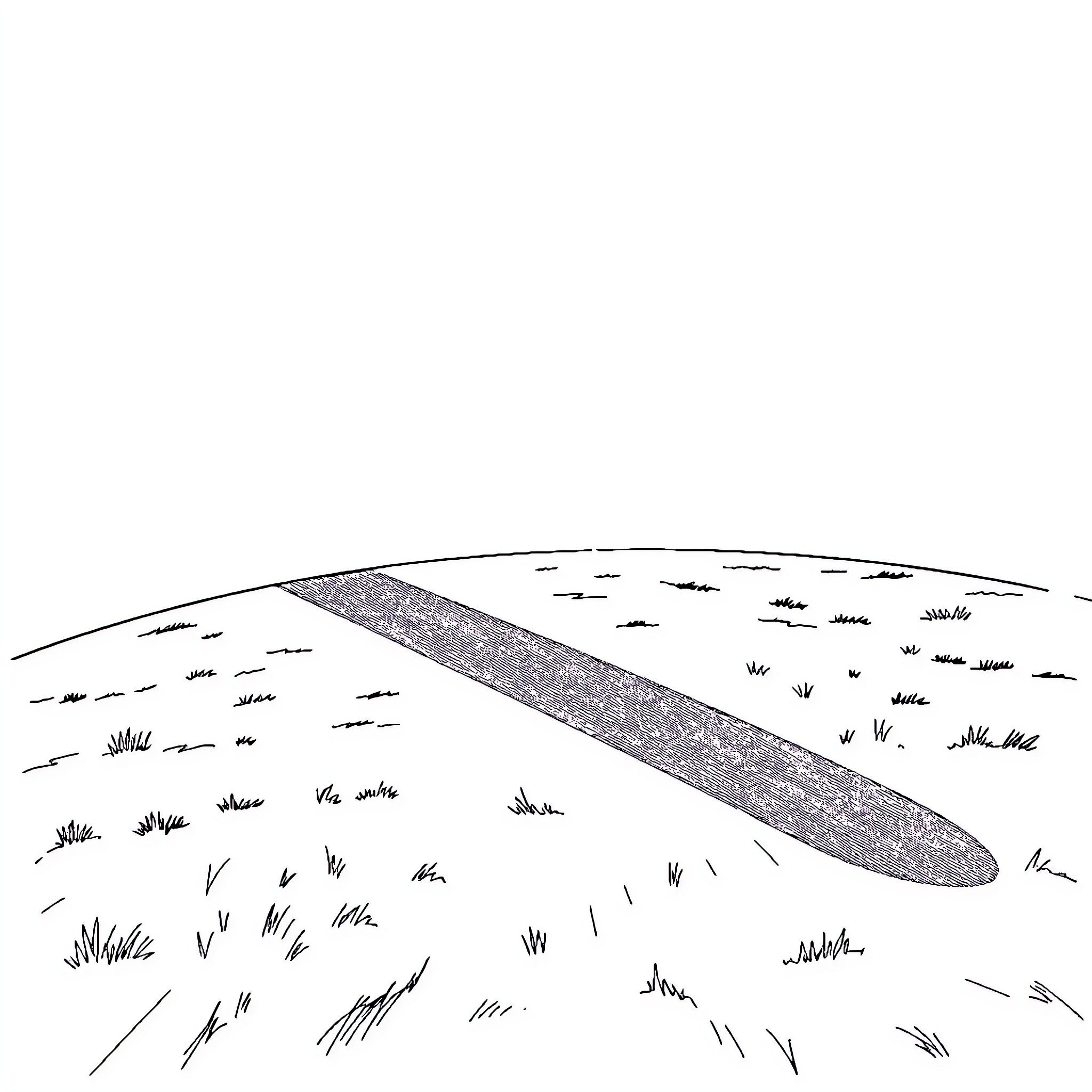 Shadow of a long floating object across the field Coloring Page (free black-and-white line drawing printable PDF for all, from beginners to advanced learners, including children, teens, adults, and seniors)