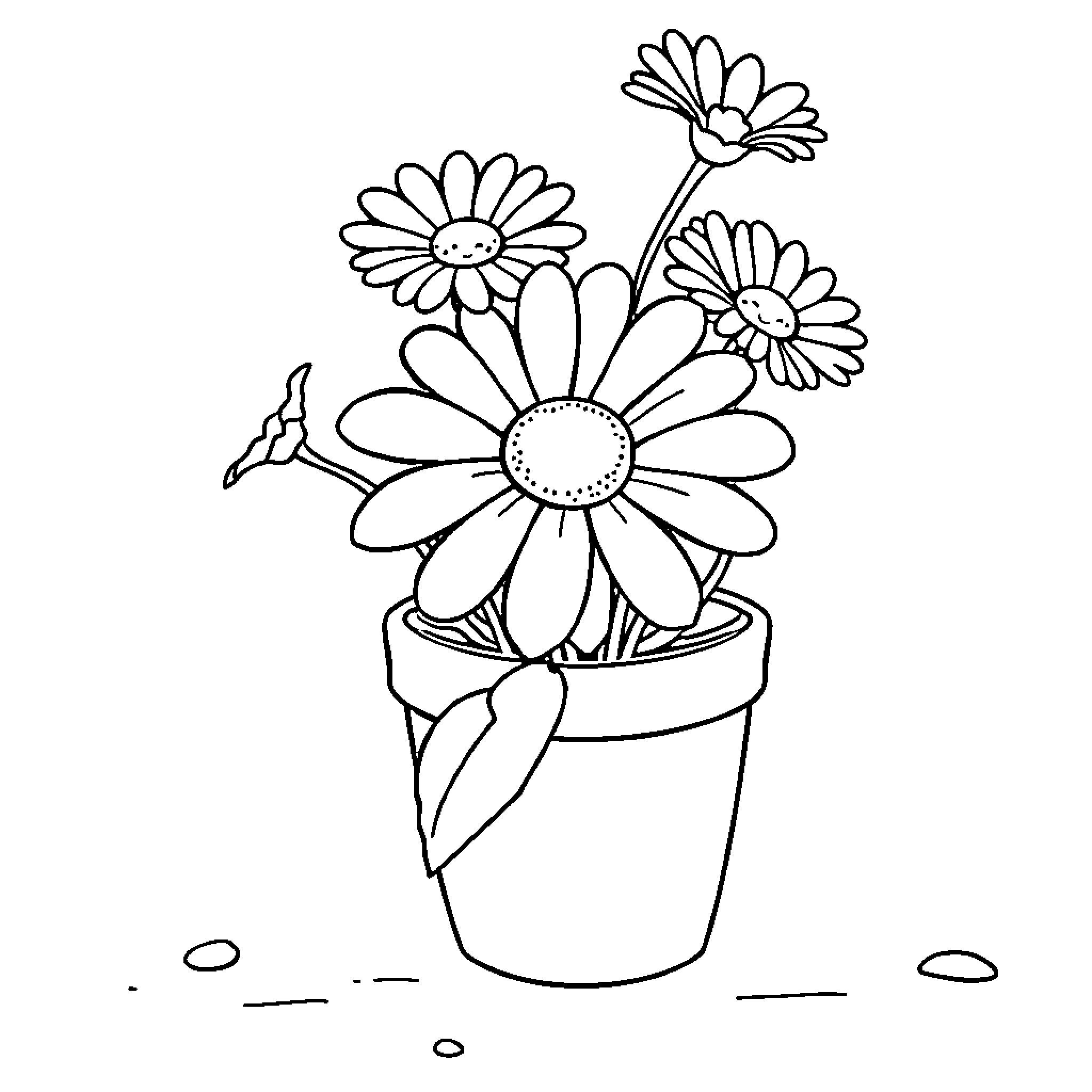 Daisy flowers in a pot Coloring Page (free black-and-white line drawing printable PDF for all, from beginners to advanced learners, including children, teens, adults, and seniors)