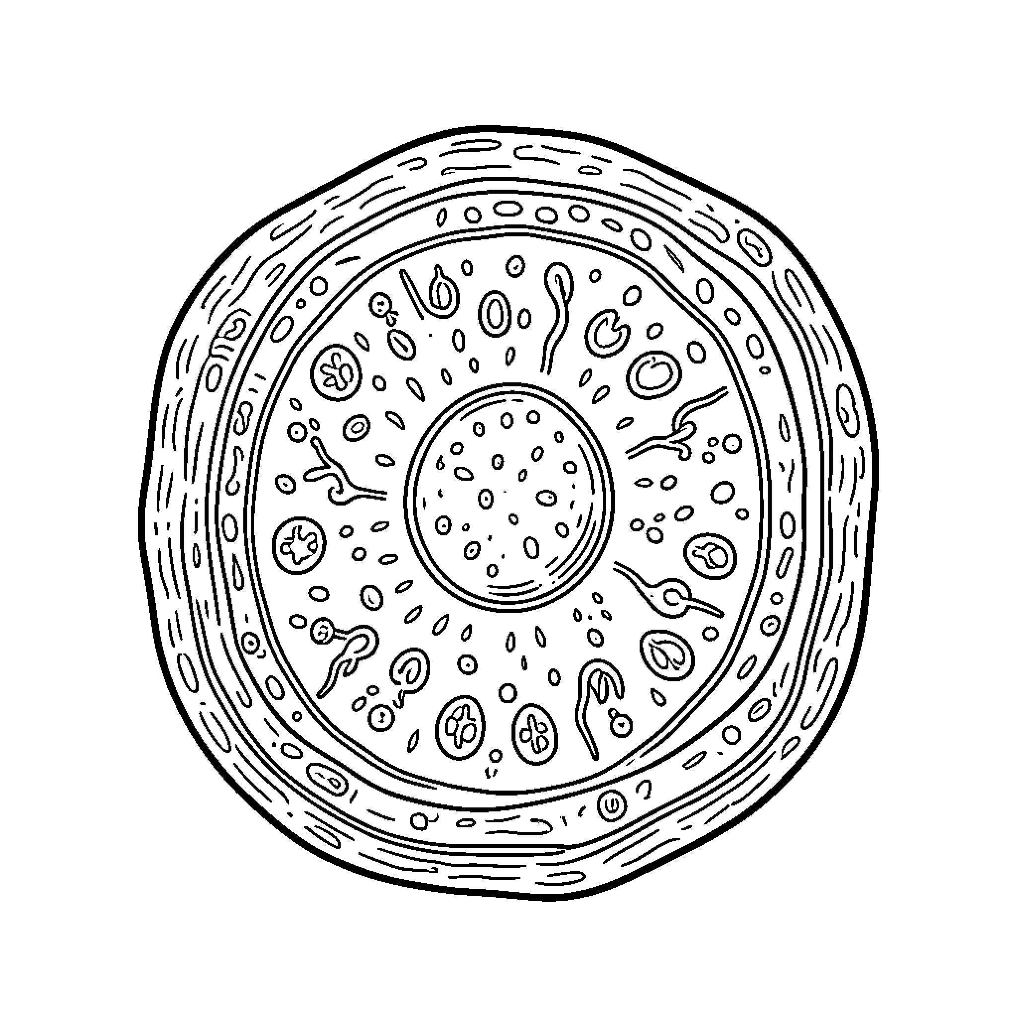 Plant Cell showing various internal biological structures Coloring Page (free black-and-white line drawing printable PDF for all, from beginners to advanced learners, including children, teens, adults, and seniors)